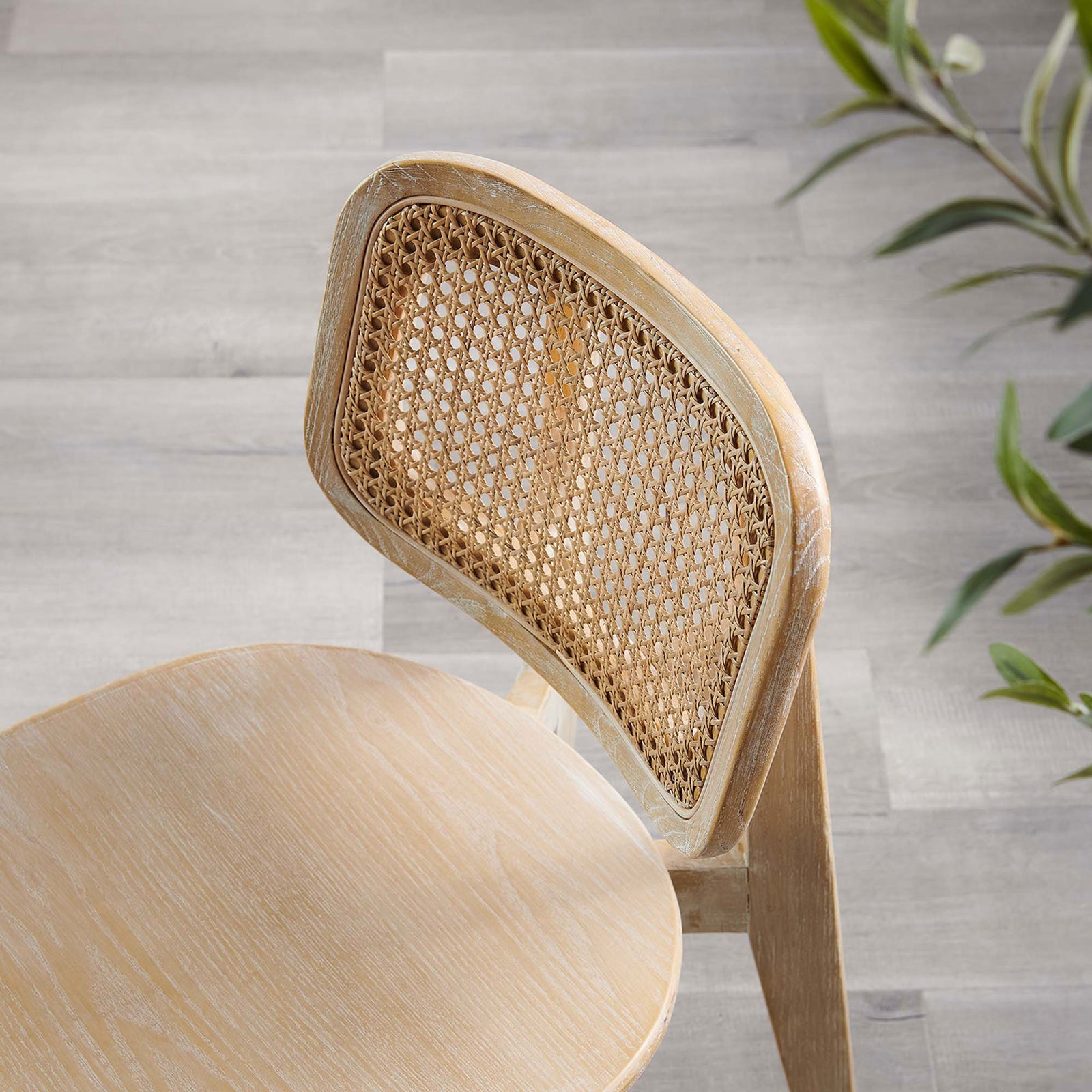 Cane back dining chair with rounded wood seat styled above light gray wood flooring || EEI-4645-GRY || detail_room