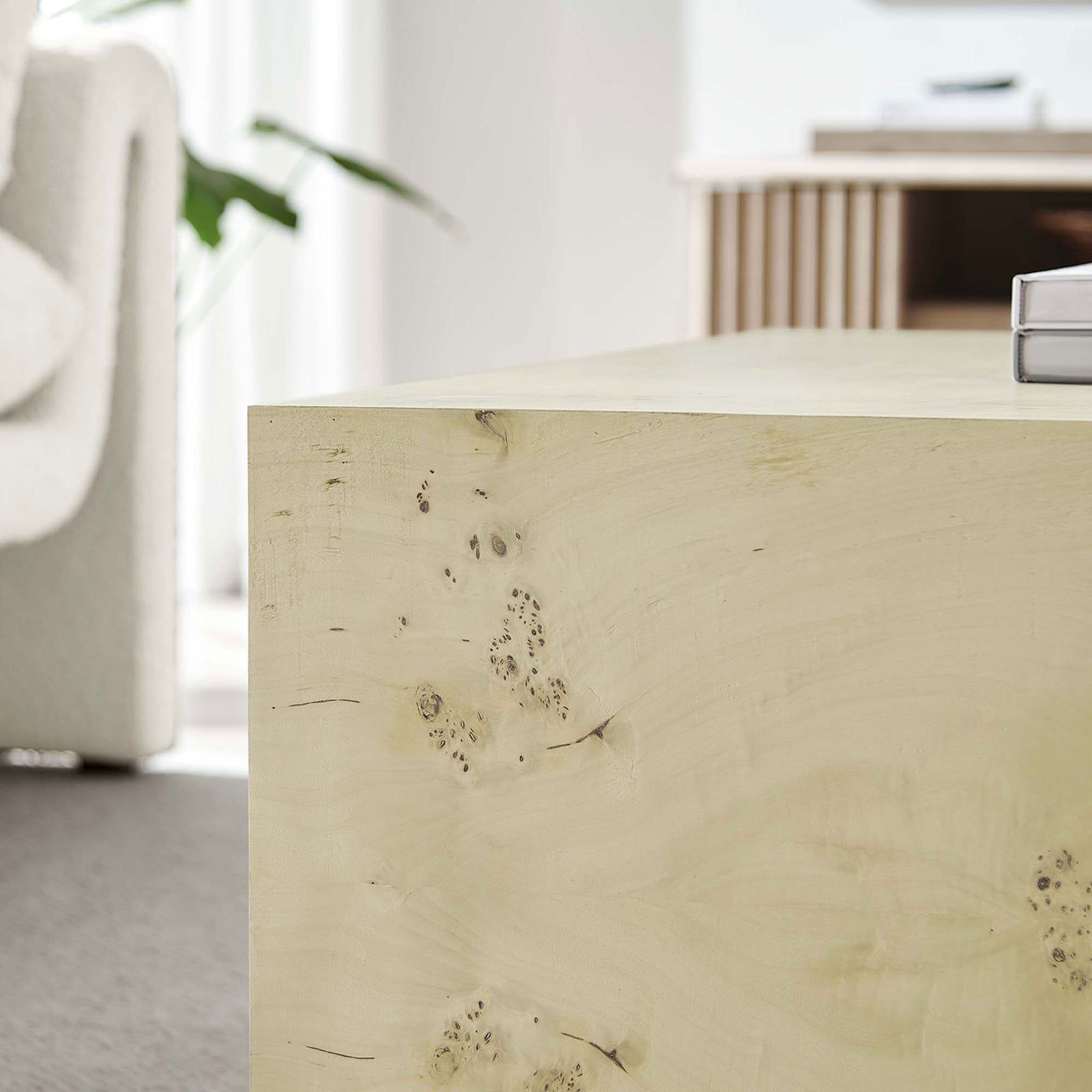 Textured burl veneer and a soft matte sheen blend effortlessly with modern, airy interiors || EEI-6272-BLB || detail_room