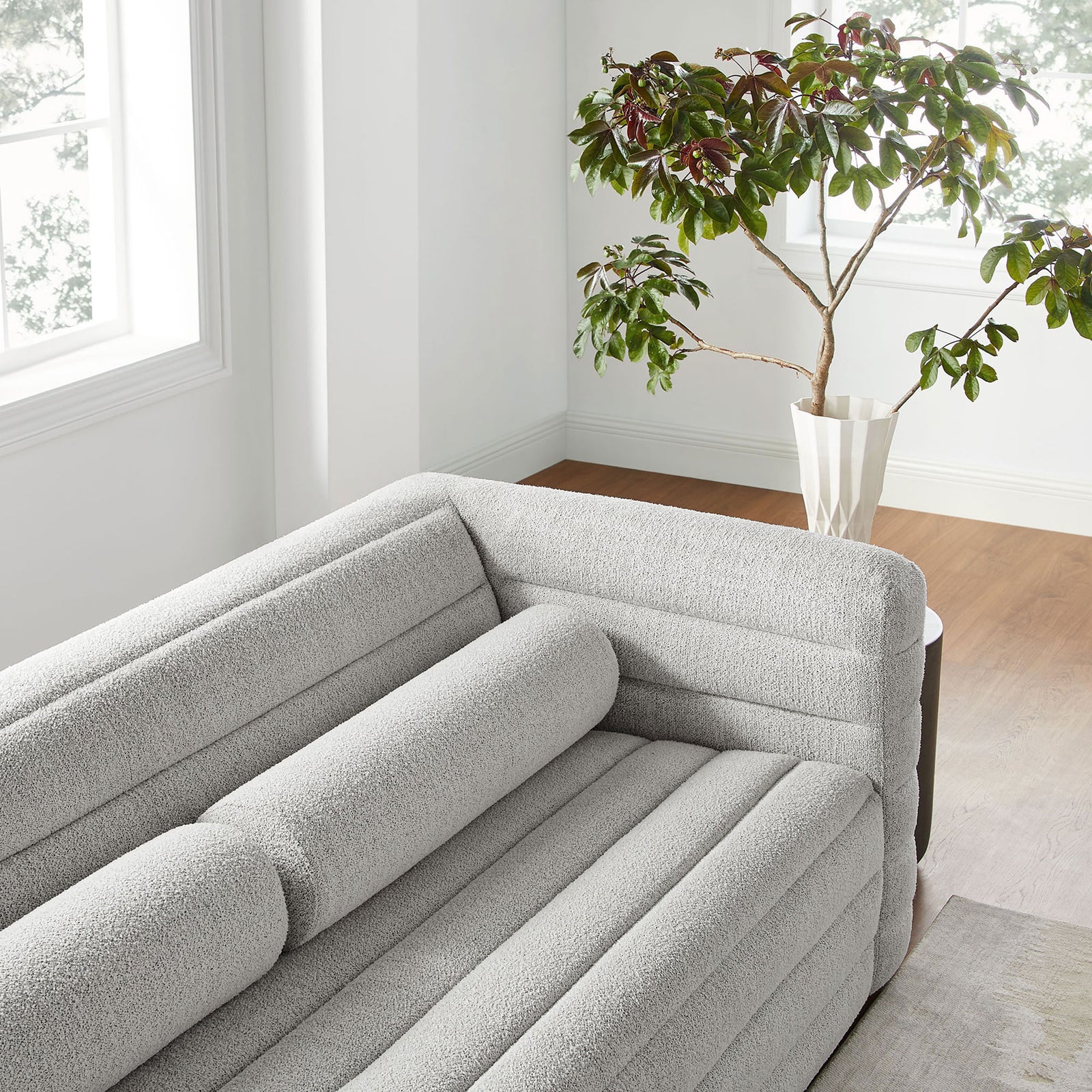 Cozy living room vignette featuring the Relle boucle sofa with cylindrical bolster pillow beside a potted tree || EEI-7136-NPT || detail_room