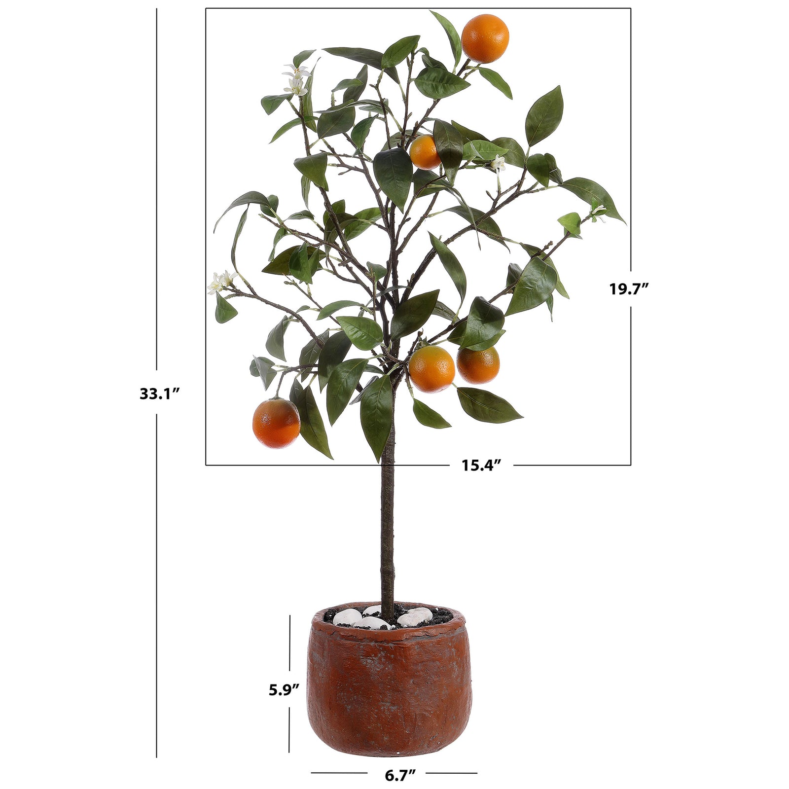 A potted orange tree stands just over 33 inches tall. || FXP1004A || dimension_studio