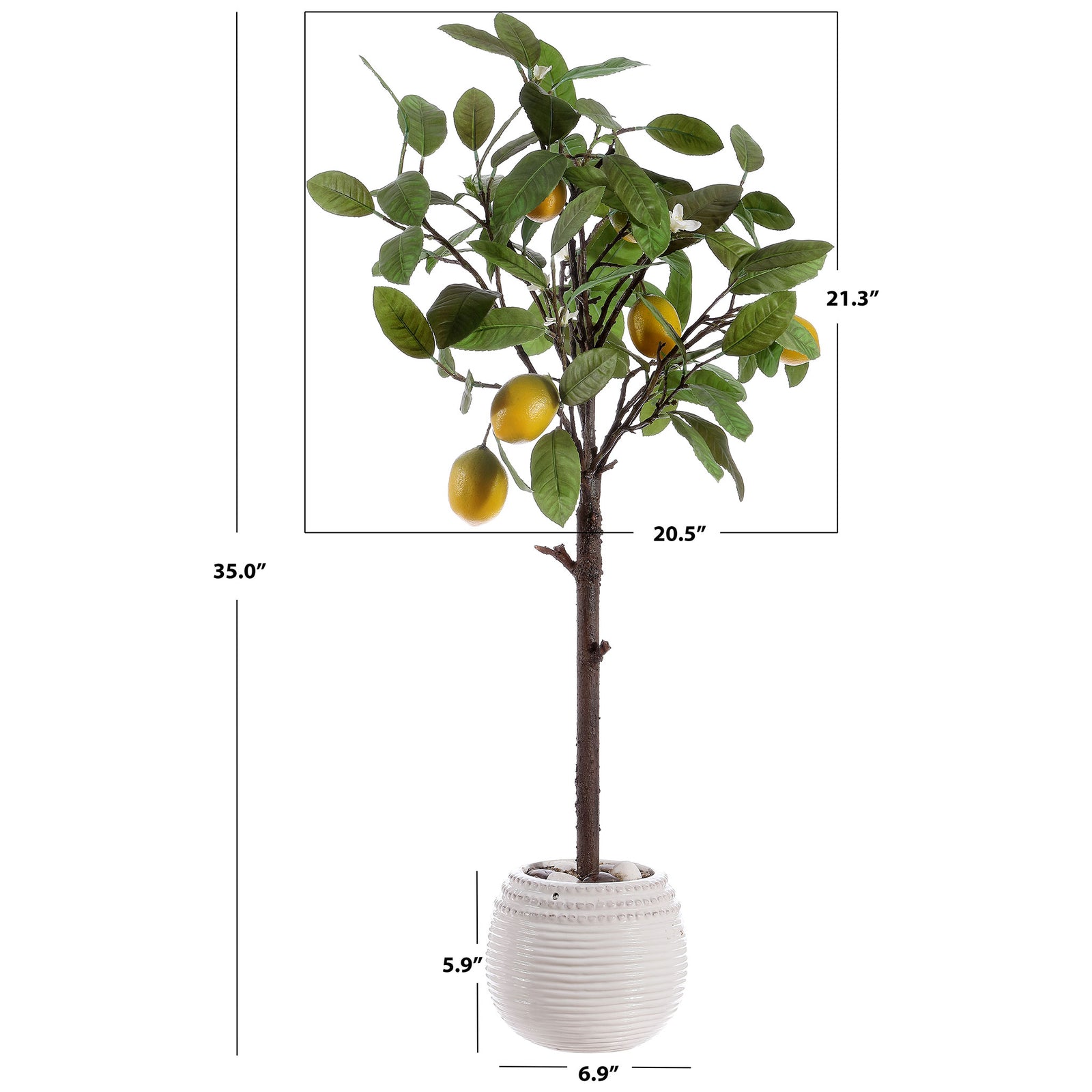 A potted lemon tree stands about 35 inches tall. || FXP1005A || dimension_studio