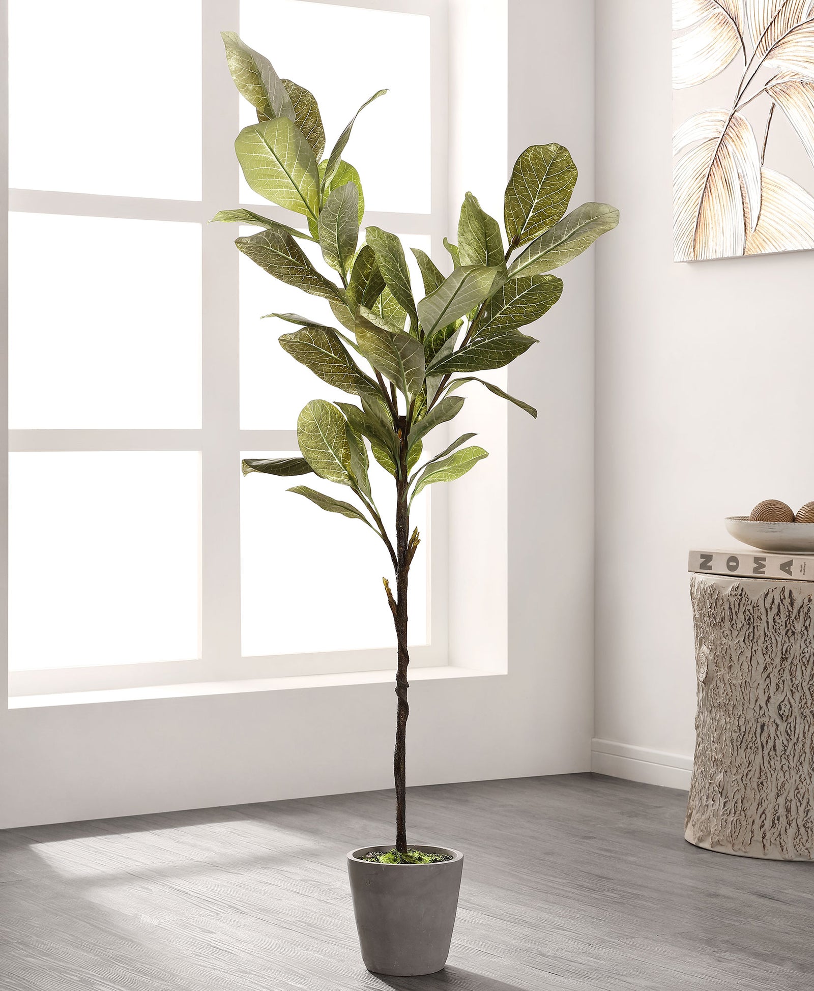 A slender magnolia tree brings gentle greenery to a bright room. || FXP1006A || front_room