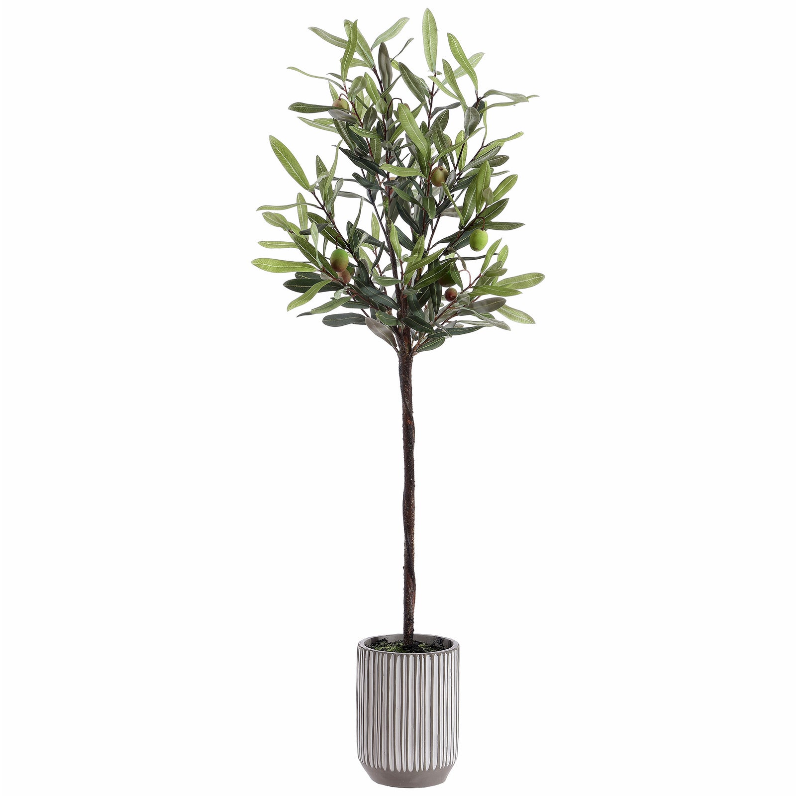 A slender olive canopy rises from a narrow striped planter. || FXP1007A || front_studio