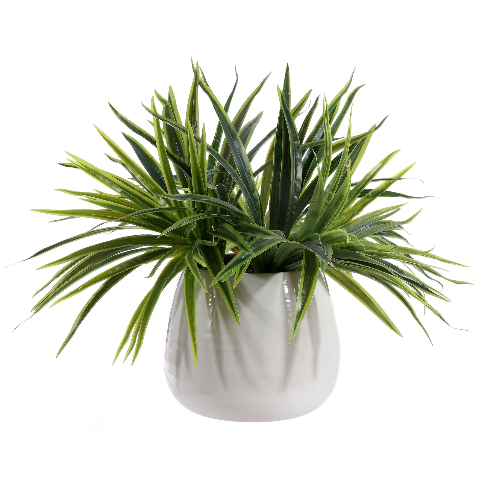 Spiky green leaves fan out above a softly sculpted white planter. || FXP1012A || front_studio