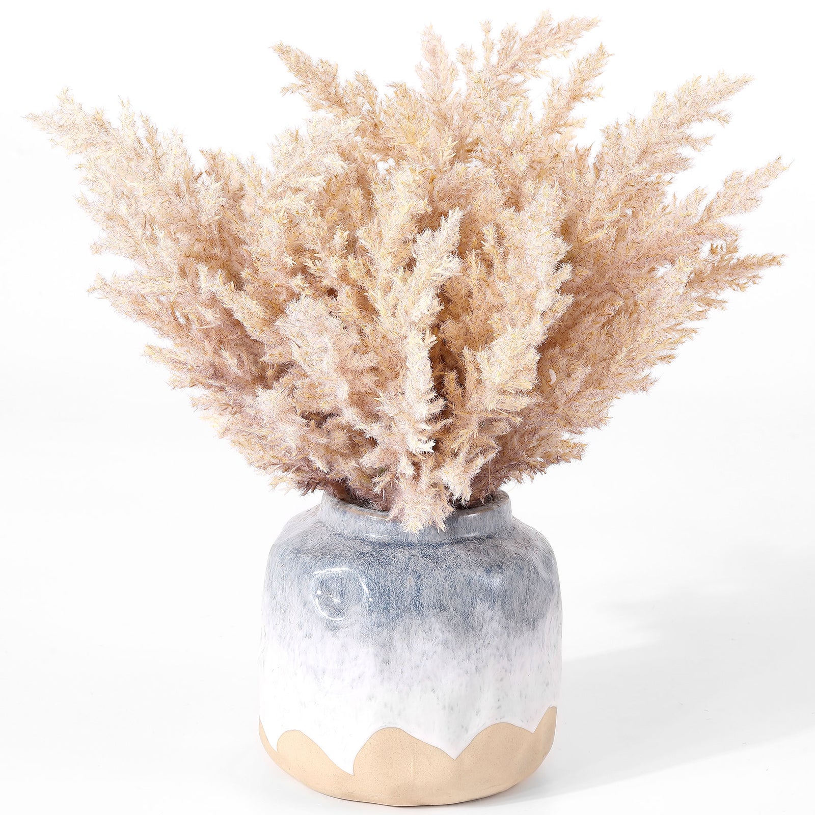 A cloud of pale broom corn foliage rises from a two-tone ceramic pot. || FXP1019A || front_studio