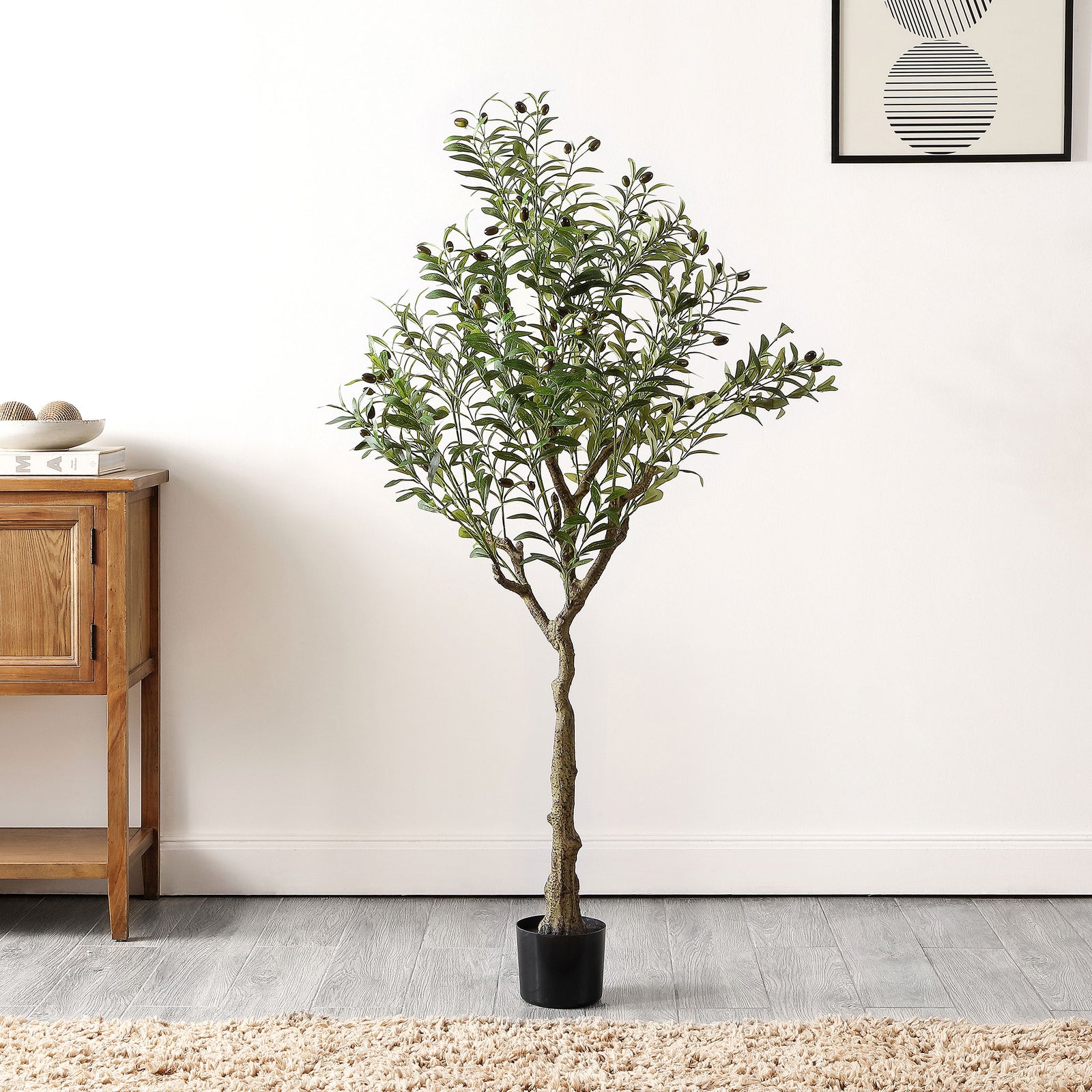An olive tree adds softly branching greenery beside wood furniture. || FXP2007A || front_room