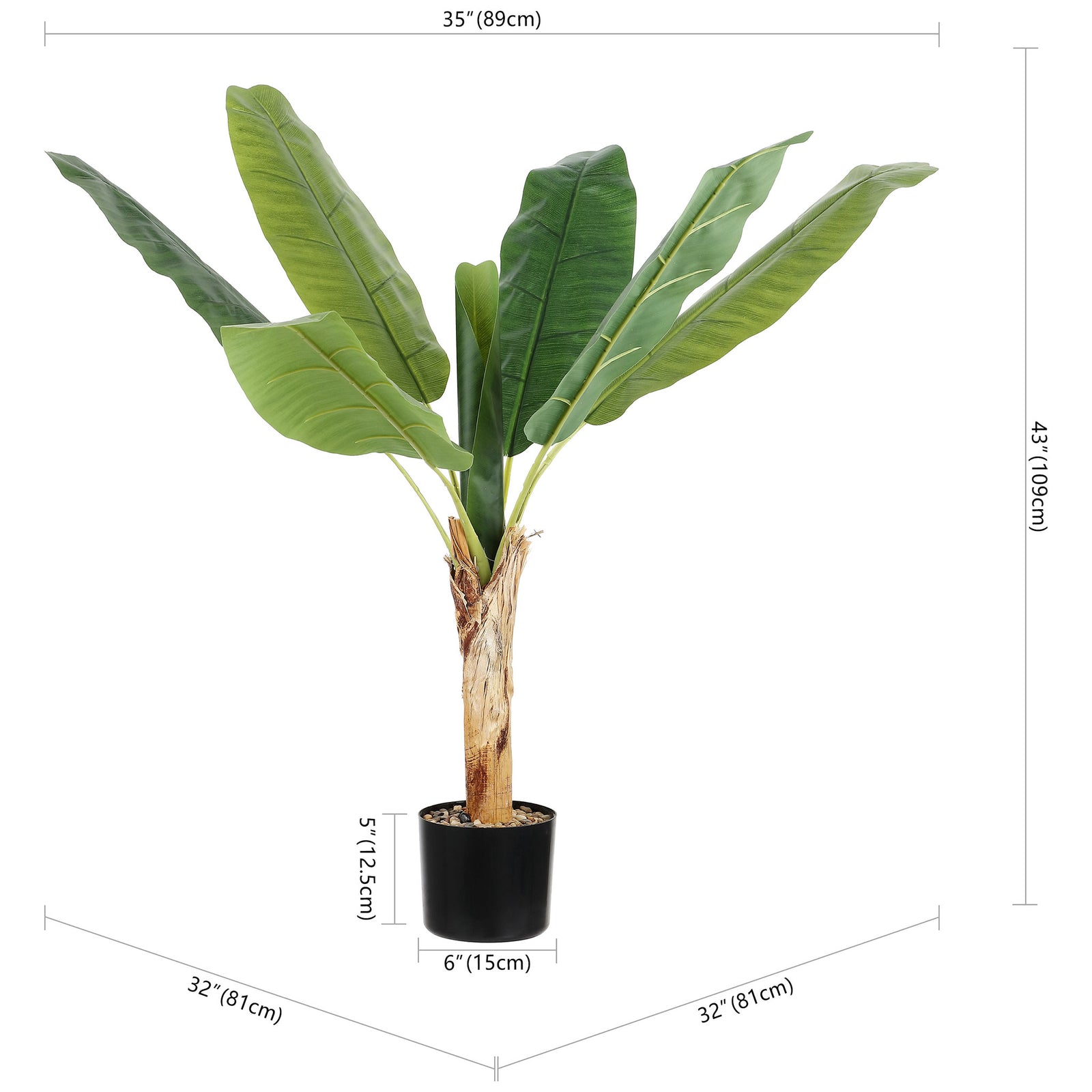 A potted banana leaf tree rises about 43 inches with a wide canopy. || FXP2009A || dimension_studio