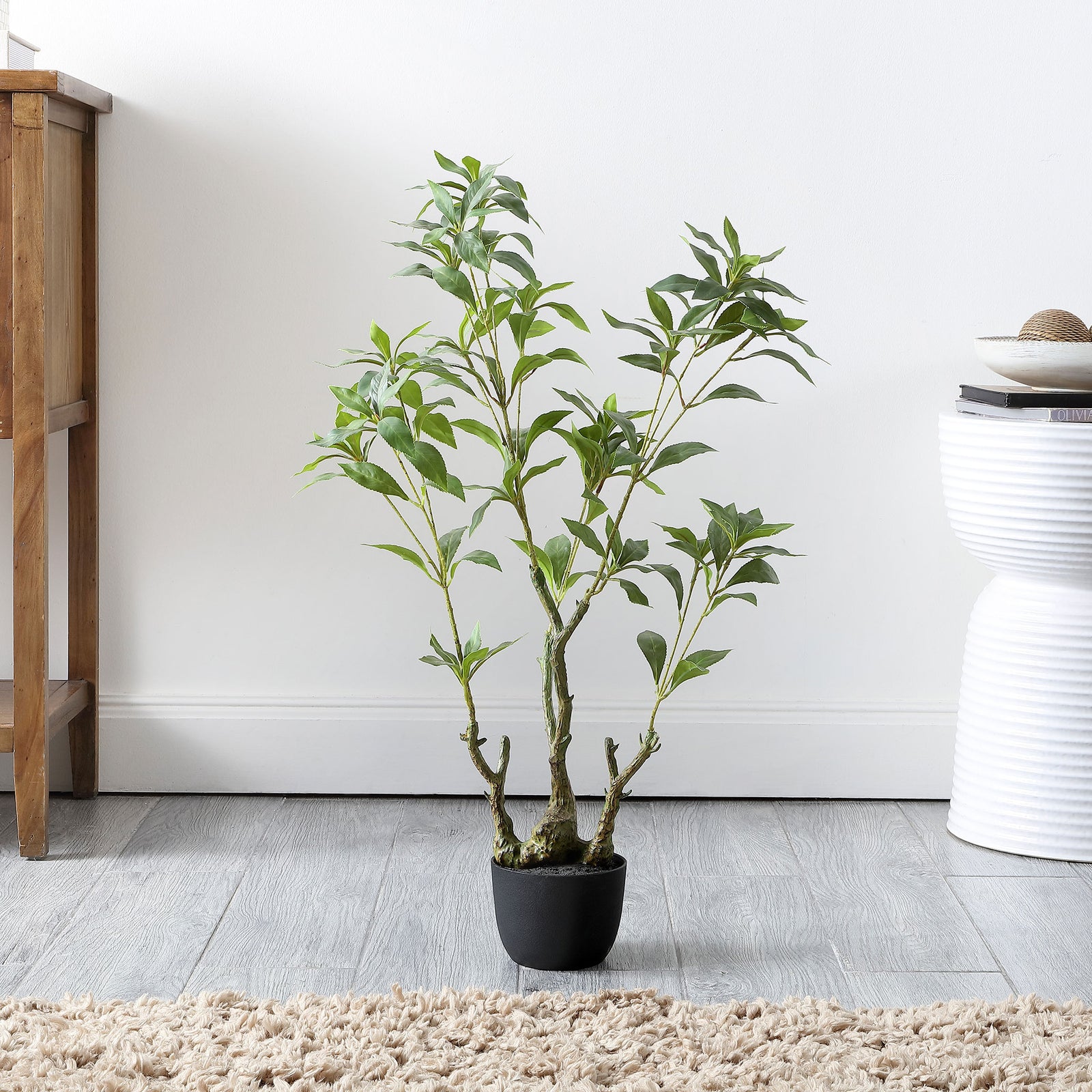 A delicate leafy plant adds fresh green color to a bright corner. || FXP2012A || front_room