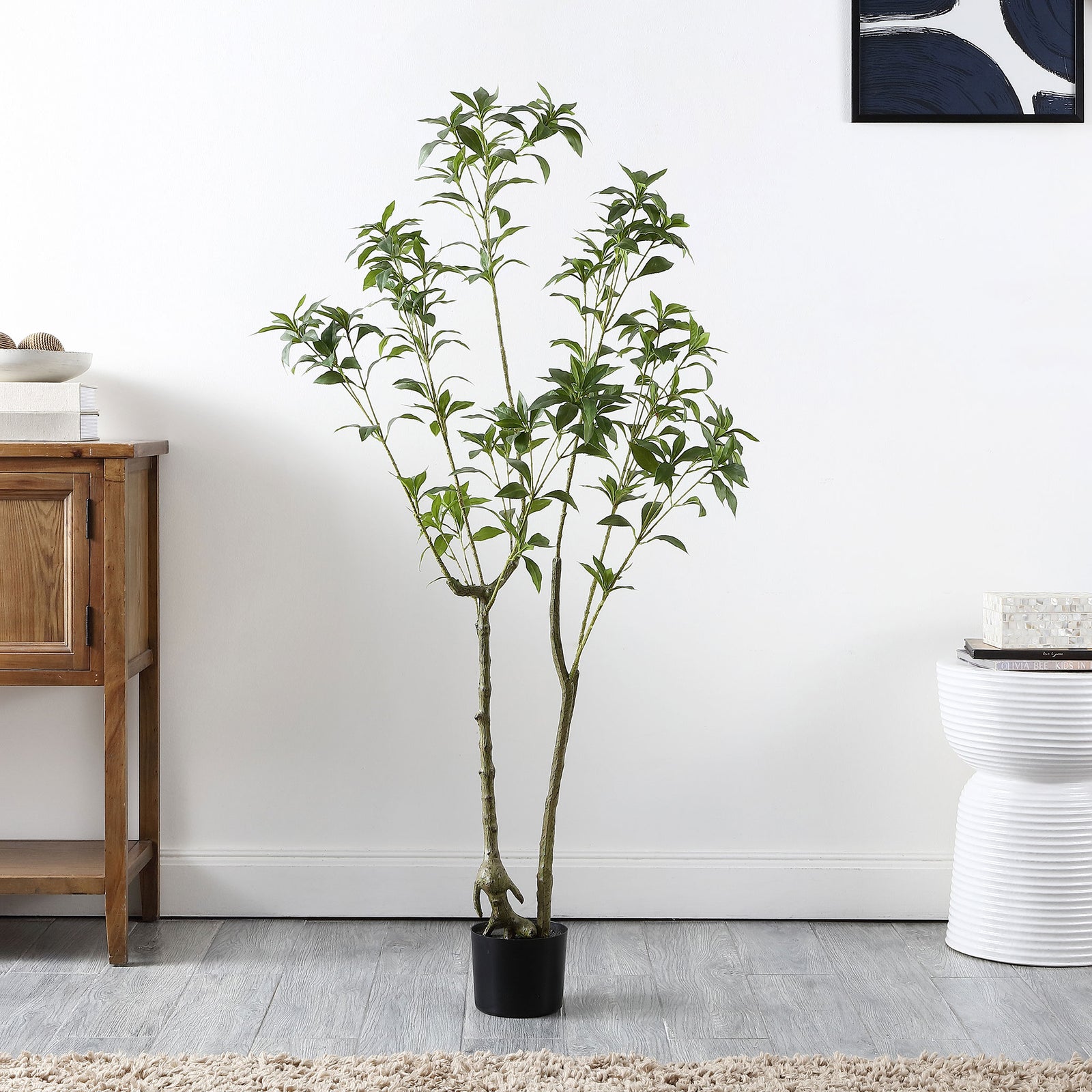 A light, leafy tree adds vertical greenery to a living room. || FXP2013A || front_room