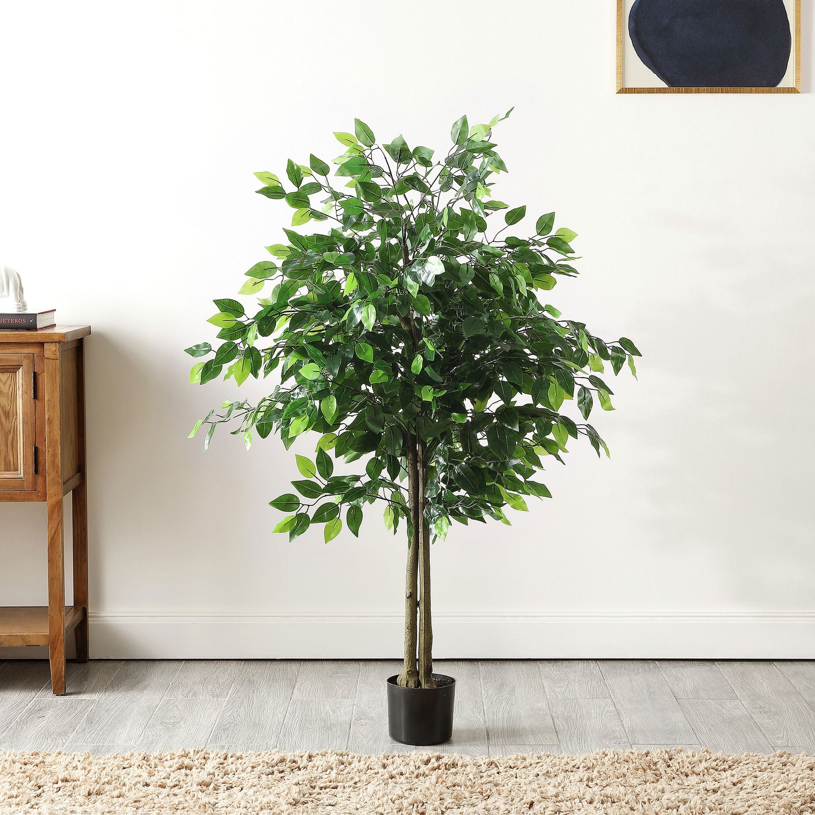 A leafy ficus tree adds generous greenery beside a wood cabinet. || FXP2014A || front_room