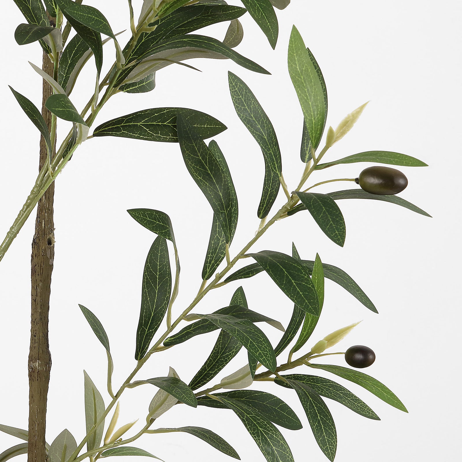Dark faux olives hang among slender green leaves. || FXP2031A || detail_studio