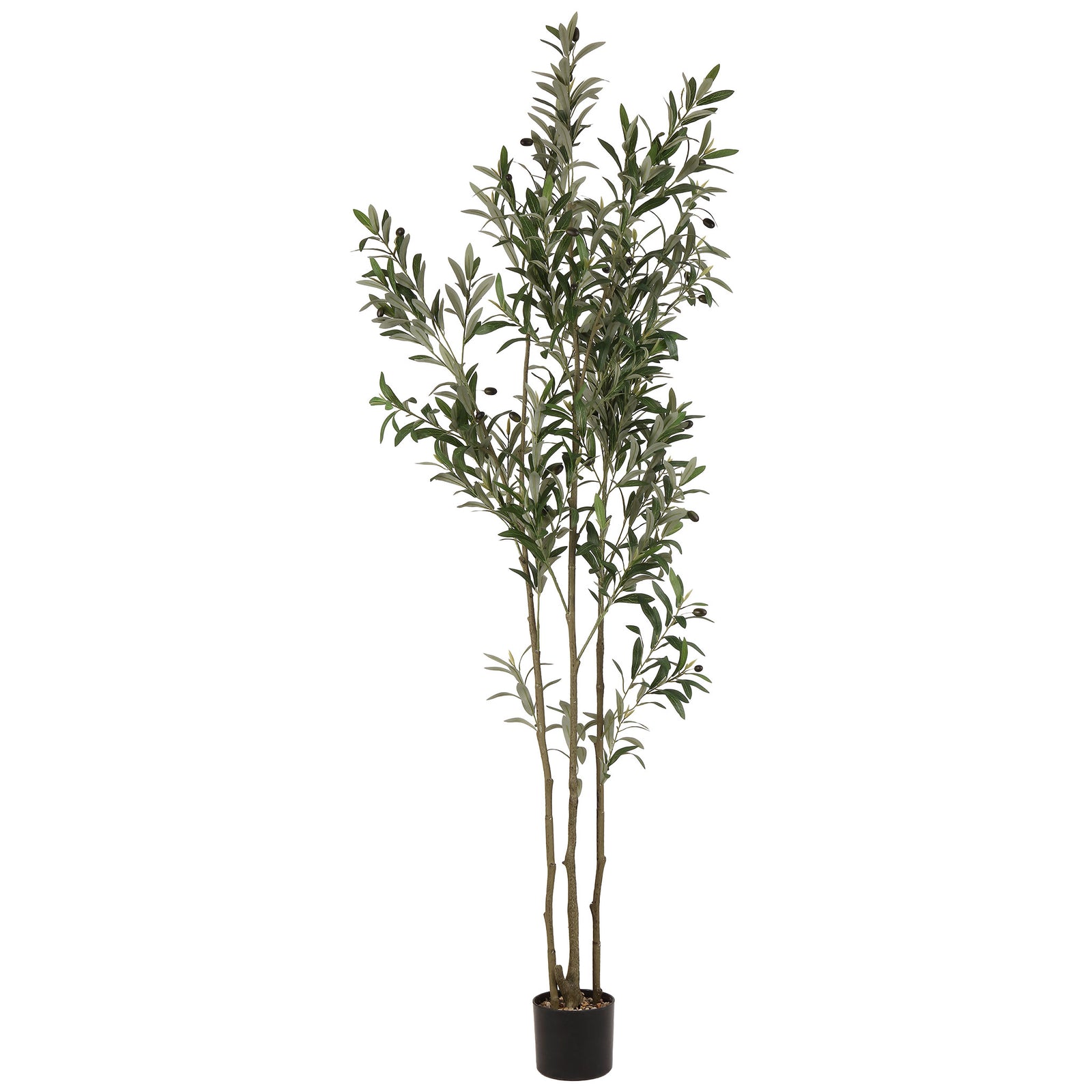 Slender olive branches rise from a compact black planter. || FXP2031A || front_studio