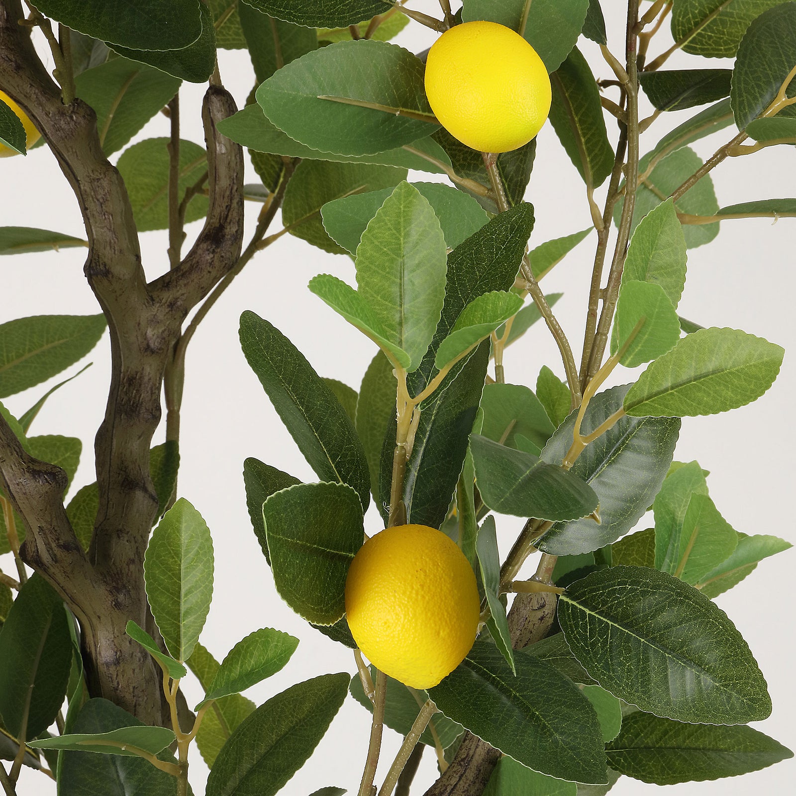 Lifelike lemons stand out against dense green leaves and woody stems. || FXP2032A || detail_studio