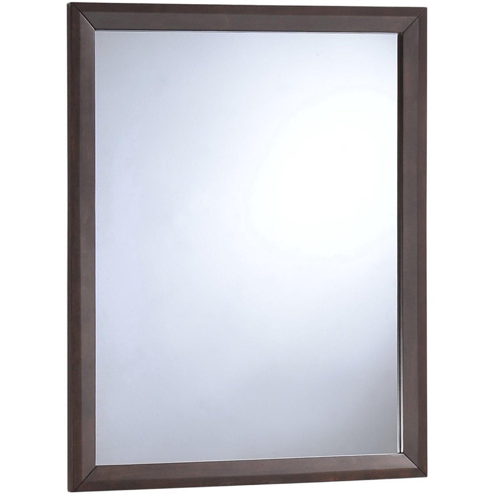 Trenton Mirror Cappuccino
