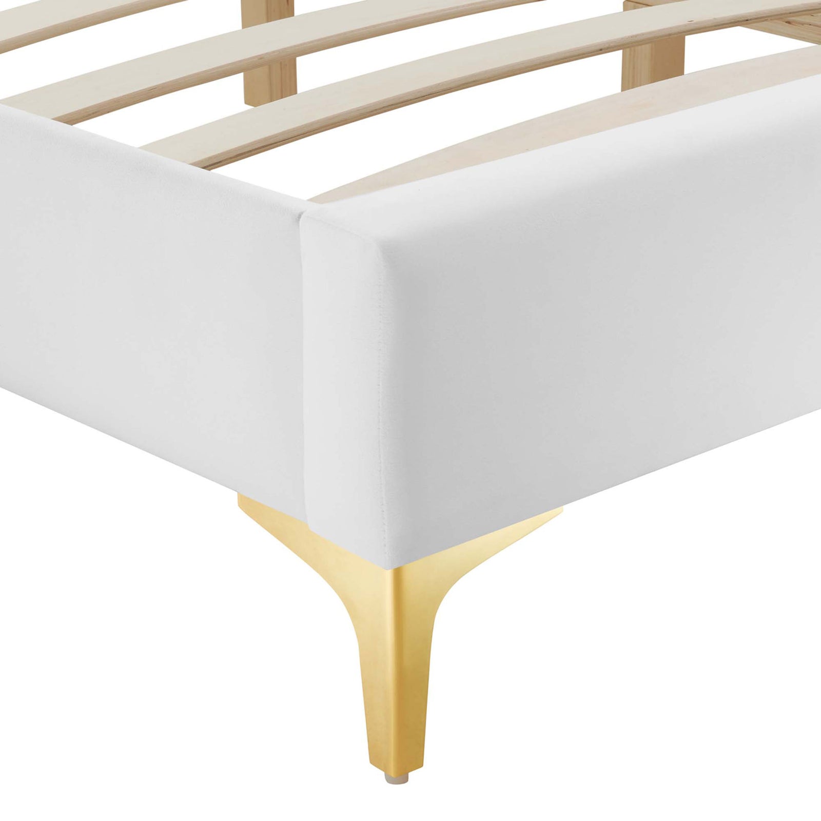 Soft velvet upholstery and tapered gold leg with non-marking cap || MOD-6275-WHI || leg_studio
