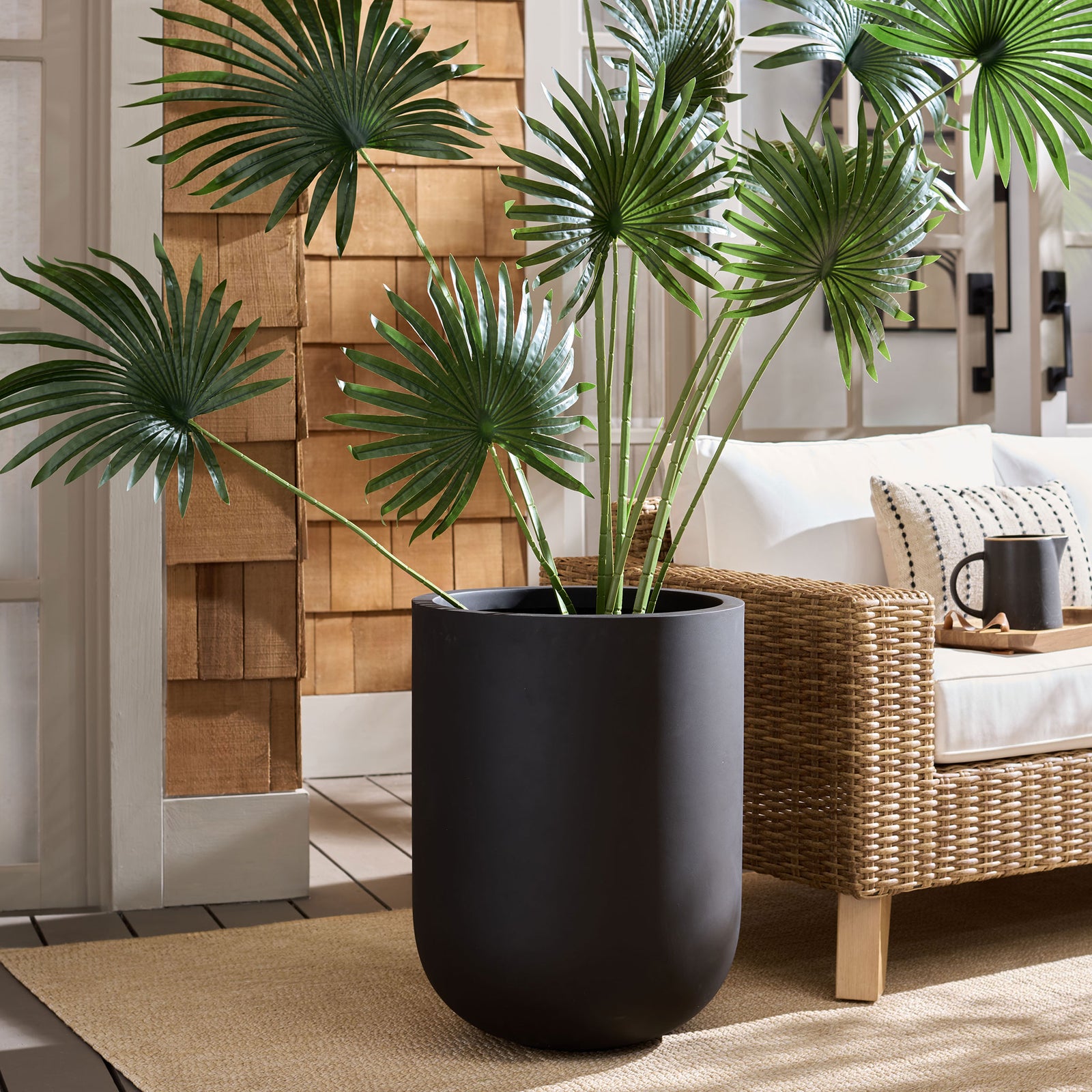 Tall black planter grounds a leafy fan palm beside a woven lounge chair || PAT1400A || front_room