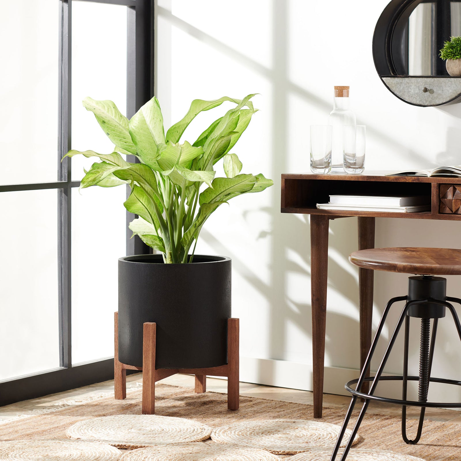 A black raised planter brings architectural contrast to leafy greenery beside a wooden desk. || PAT1514A || front_room