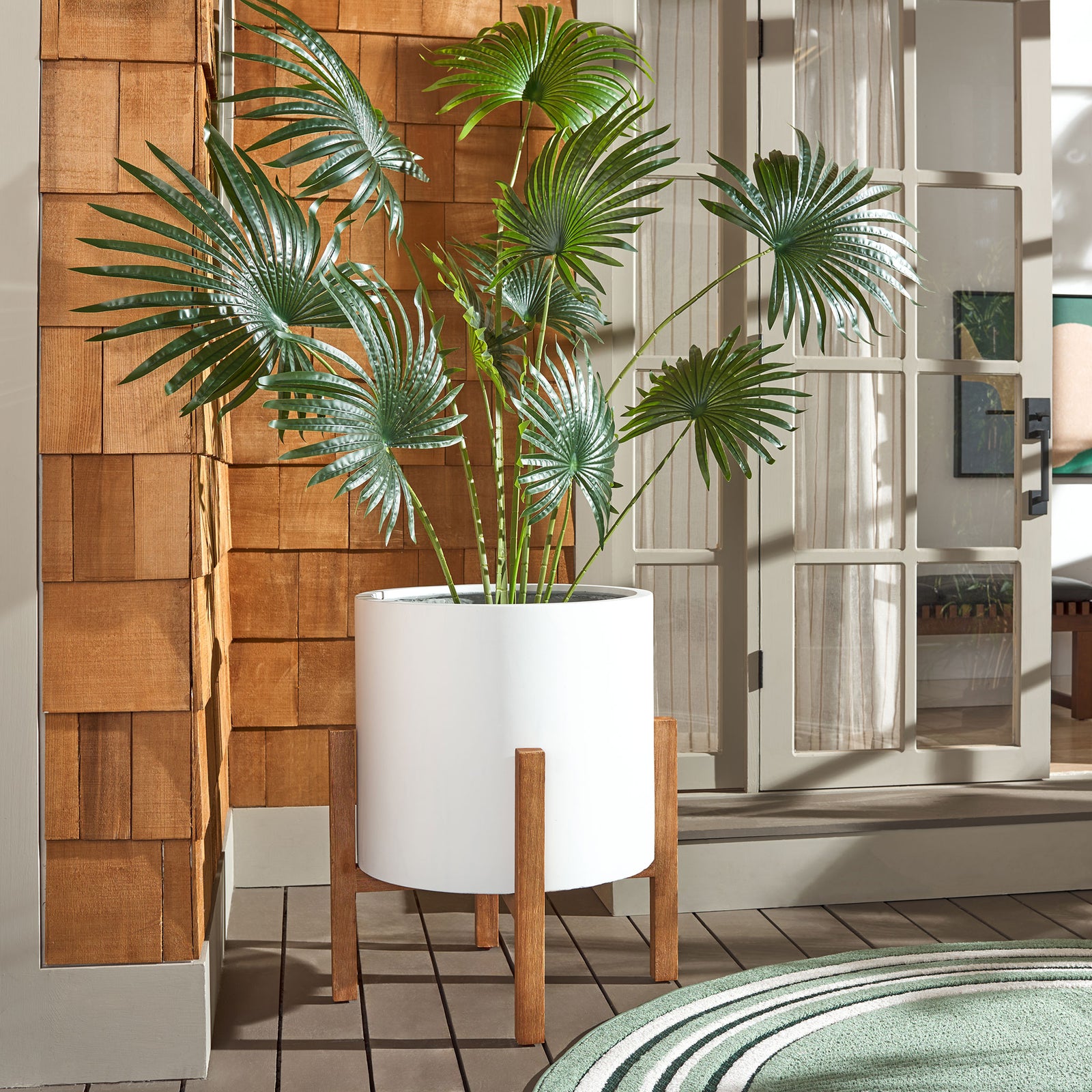 Tall fan-shaped leaves rise from a large white planter on a wood-toned stand by a glass door. || PAT1515C || front_room