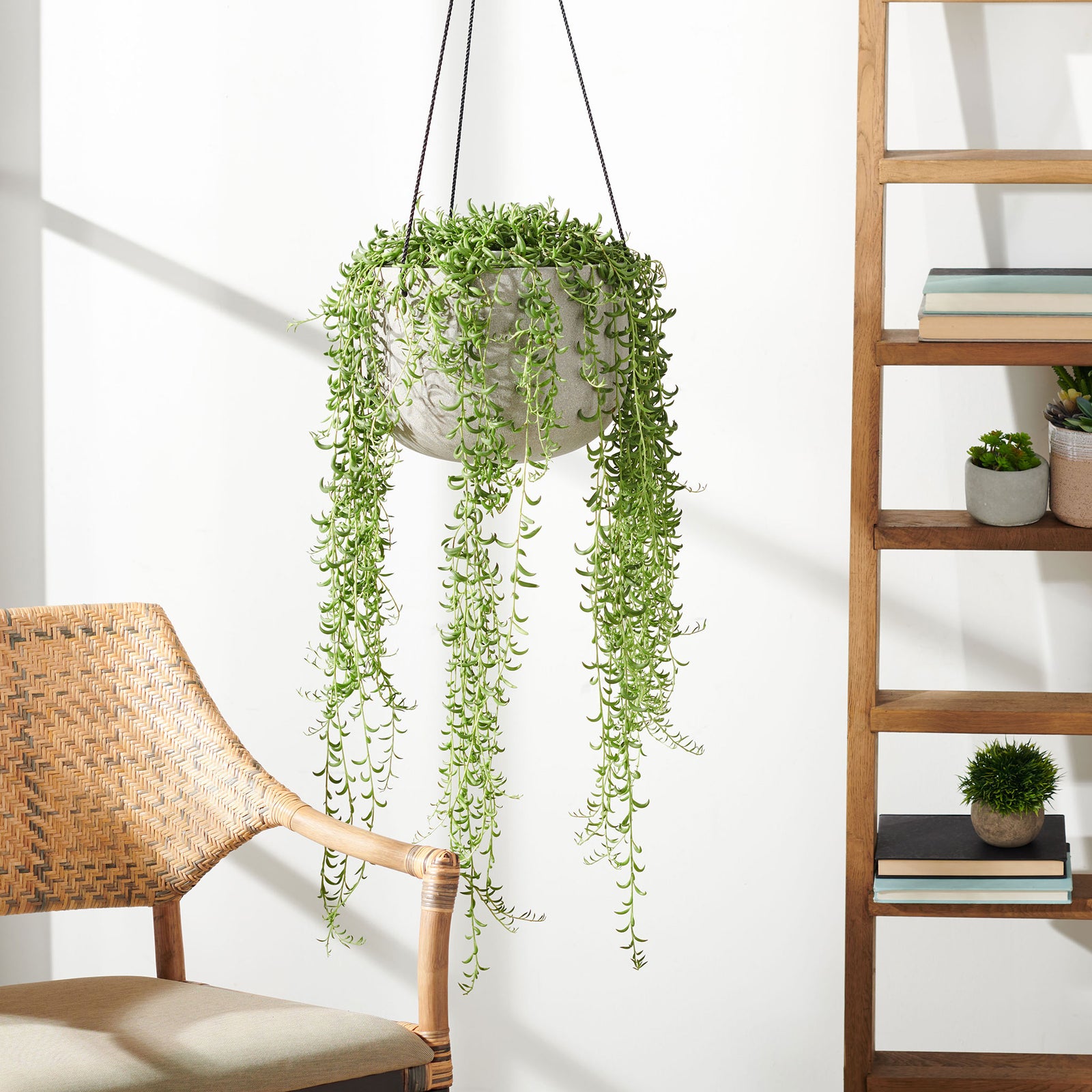 Trailing greenery spills from a light gray hanging bowl beside a woven chair. || PAT1527B || front_room