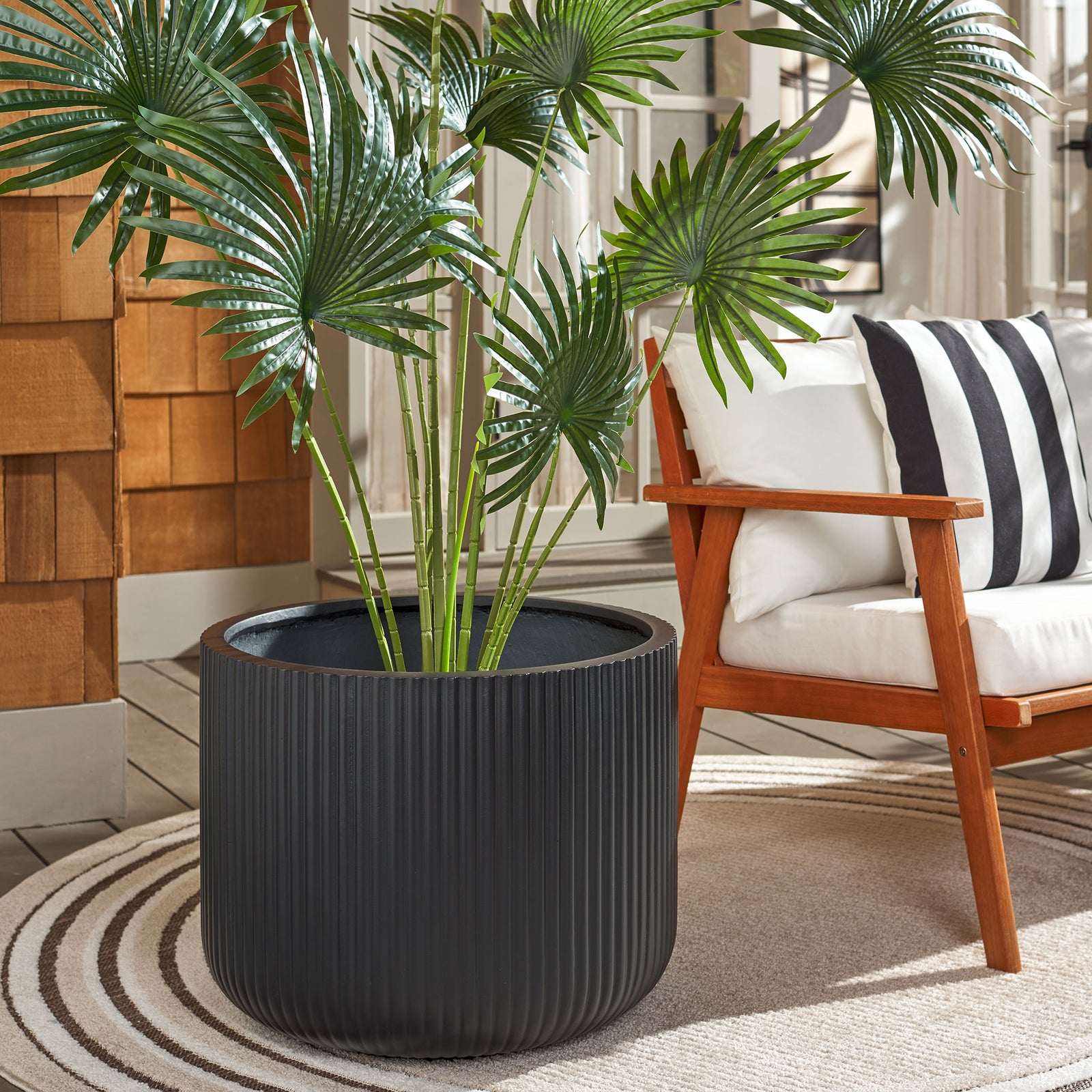 A tall leafy plant rises from a large black fluted planter beside a light cushioned chair. || PAT1533A || front_angle_room