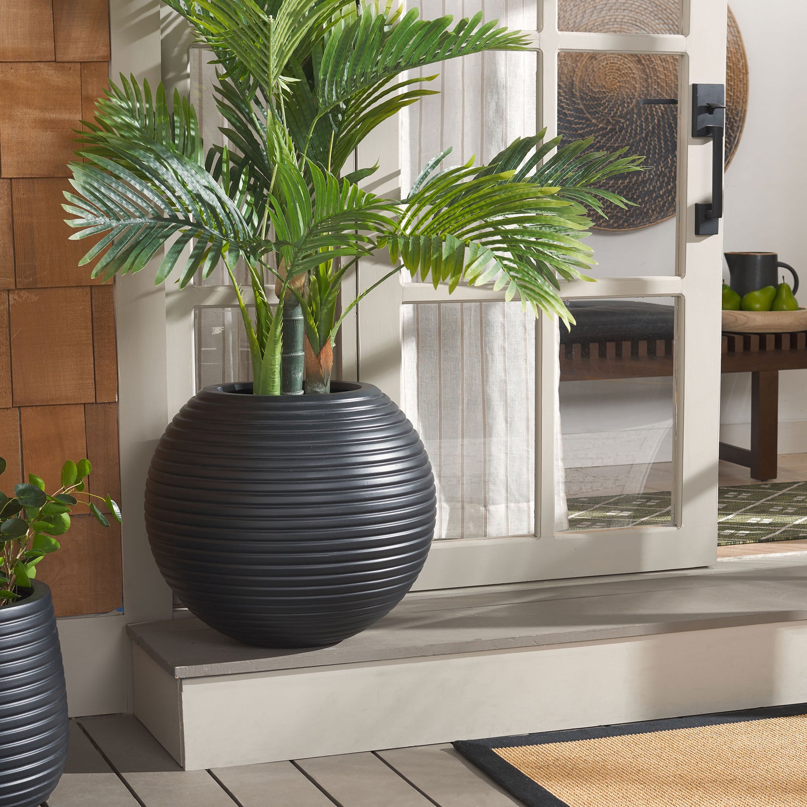 Ribbed black planter grounds lush palm foliage with a crisp, modern silhouette. || PAT1534A || front_room