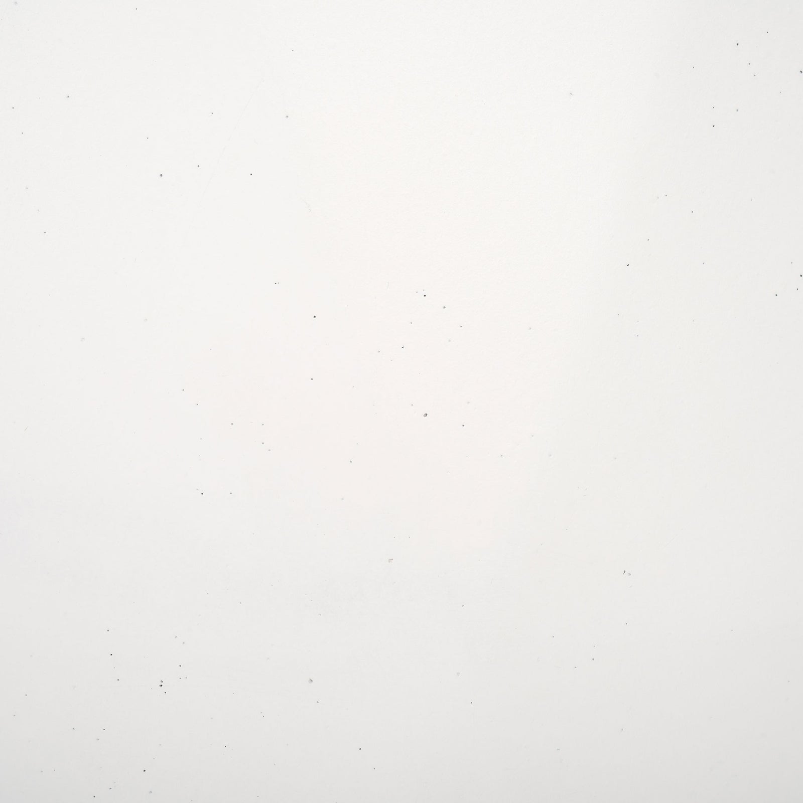A crisp white finish offers a softly textured backdrop for green plants. || PAT1536C-SET2 || swatch_studio