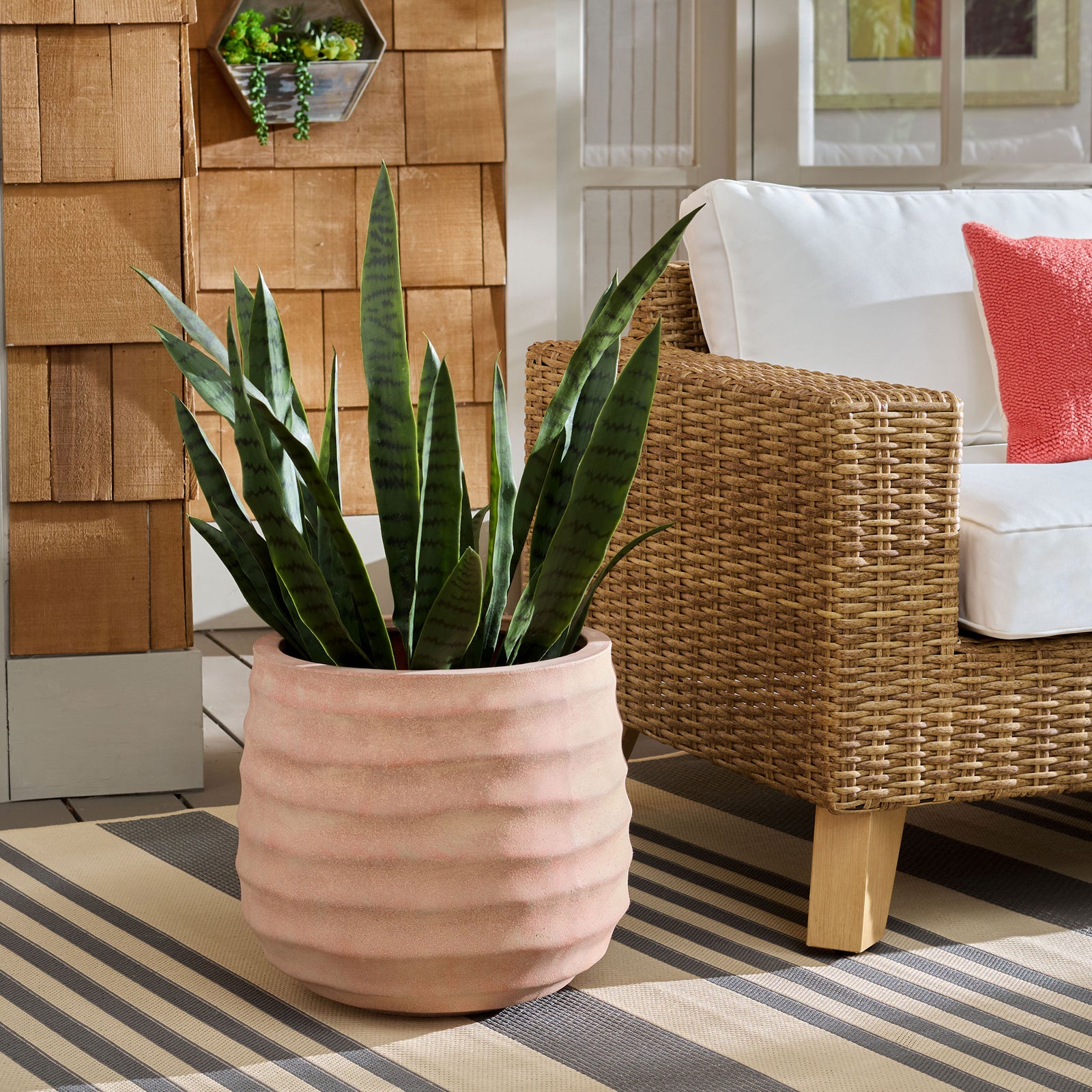 A warm terracotta planter holds tall green foliage beside a woven chair. || PAT1542D || front_room