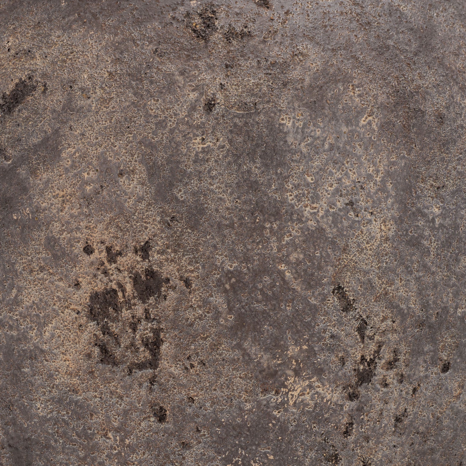 Mottled brown and gray tones create an aged, stone-like texture for an earthy outdoor accent. || PAT1555A || swatch_studio