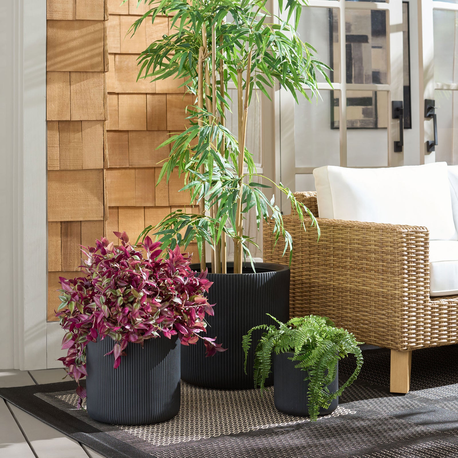 Black fluted planters frame colorful foliage beside woven outdoor seating. || PAT4600A-SET3 || front_room