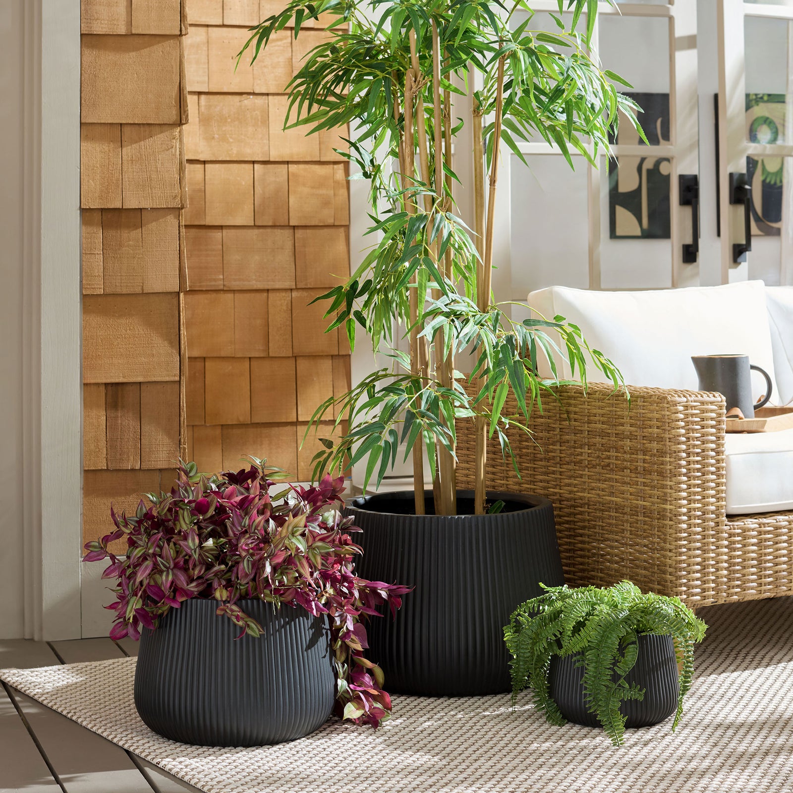 Black ribbed planters pair rich foliage with a woven lounge chair for striking natural contrast || PAT4601A-SET3 || front_room