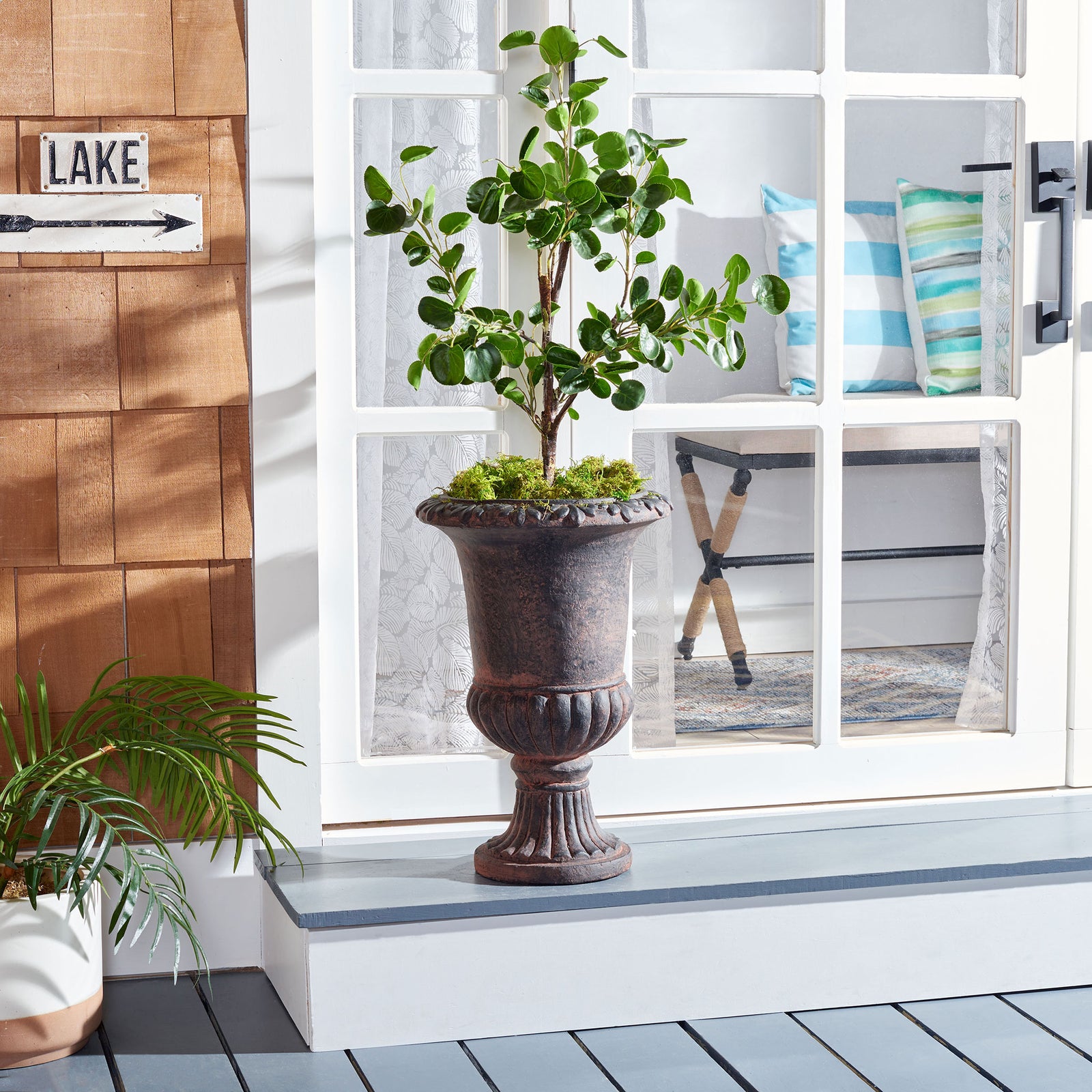 Weathered brown urn planter supports a leafy potted tree beside a glass-paneled doorway. || PAT5037B || front_room