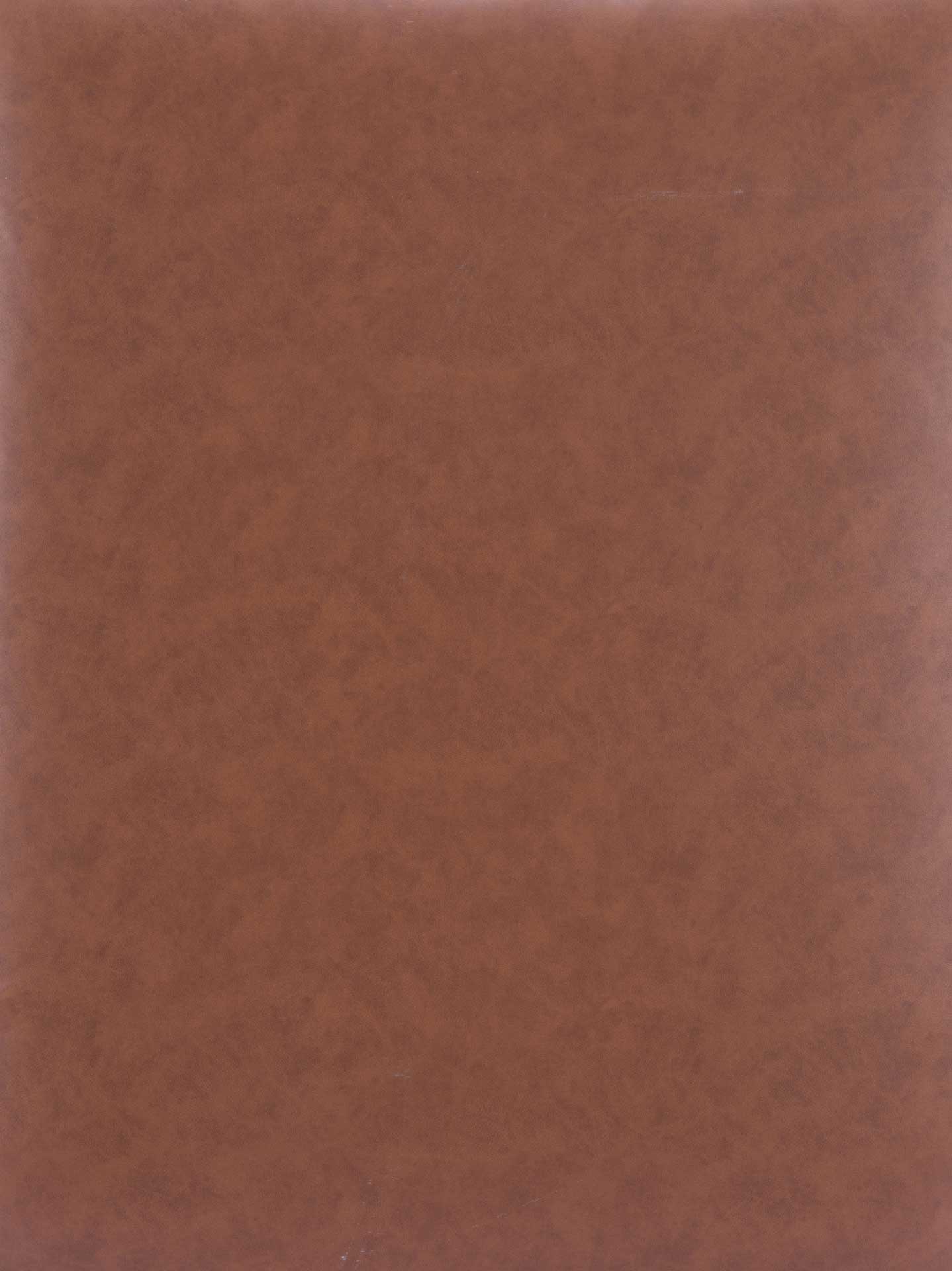 Livingston Lounge Chair Saddle