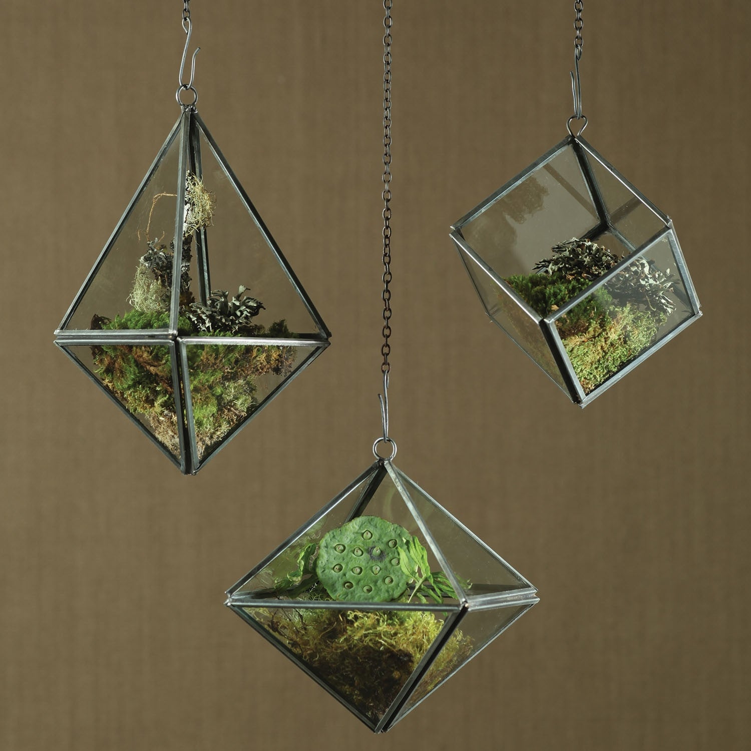 Pollux Geometric Terrarium Tetrahedron