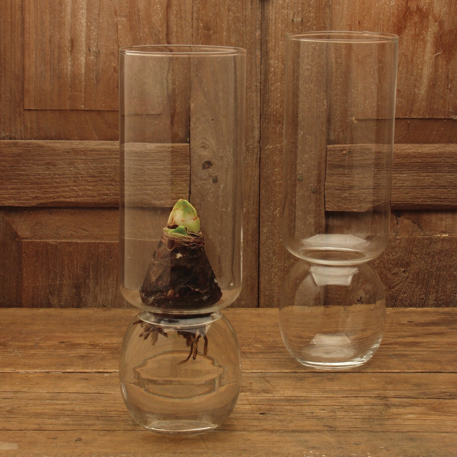 Bulba Vase Extra Tall