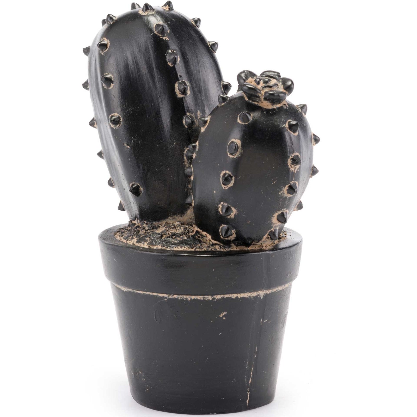 Peyote Cactus Black