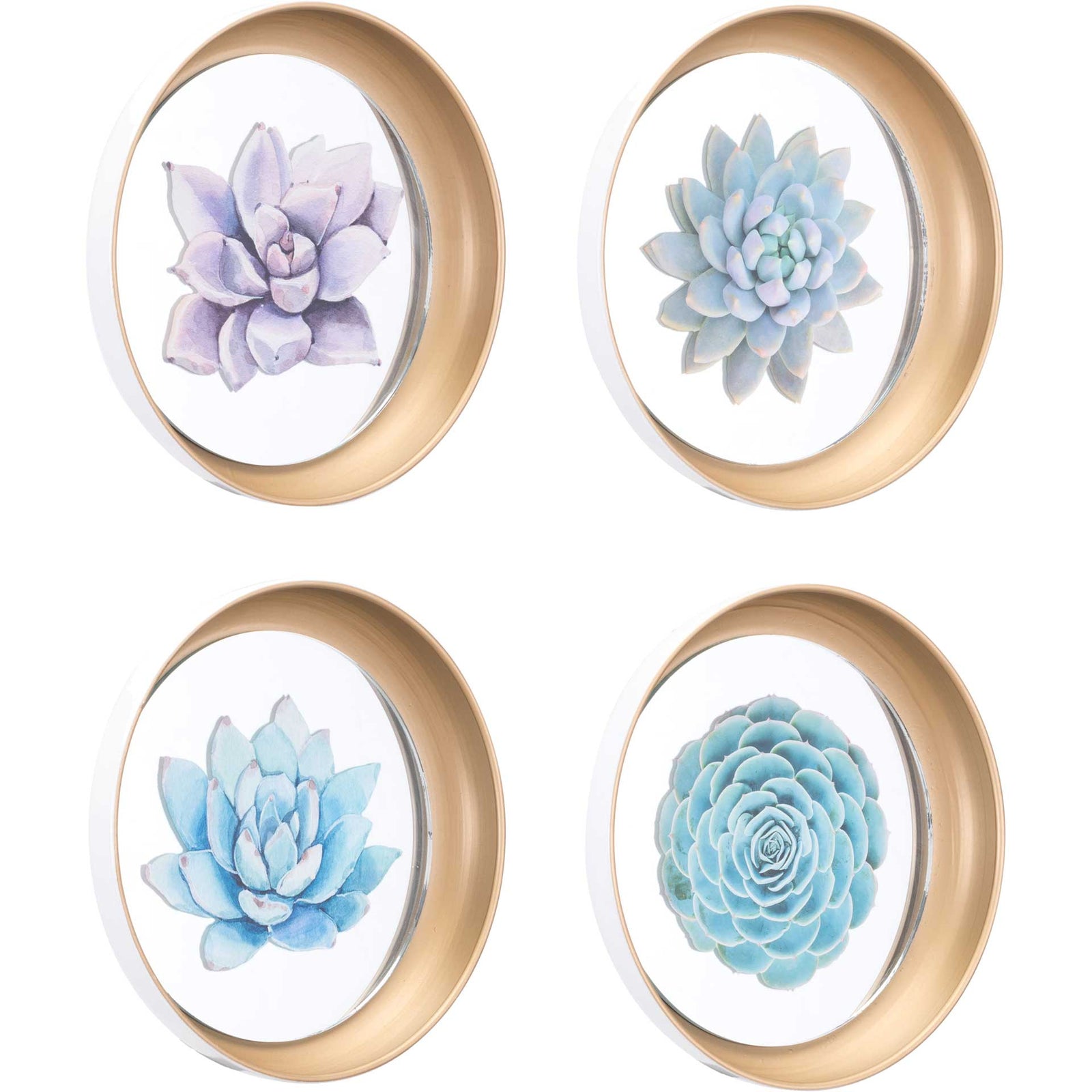 Pastel Succulents Plate (Set of 4)