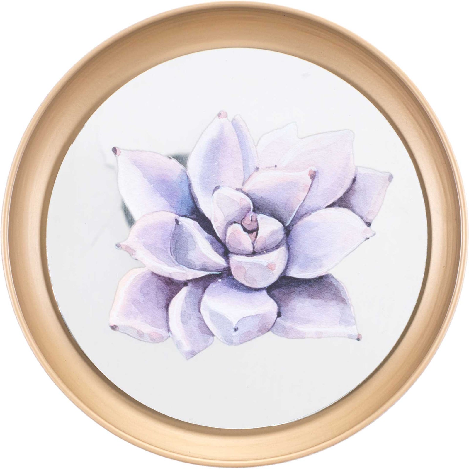 Pastel Succulents Plate (Set of 4)