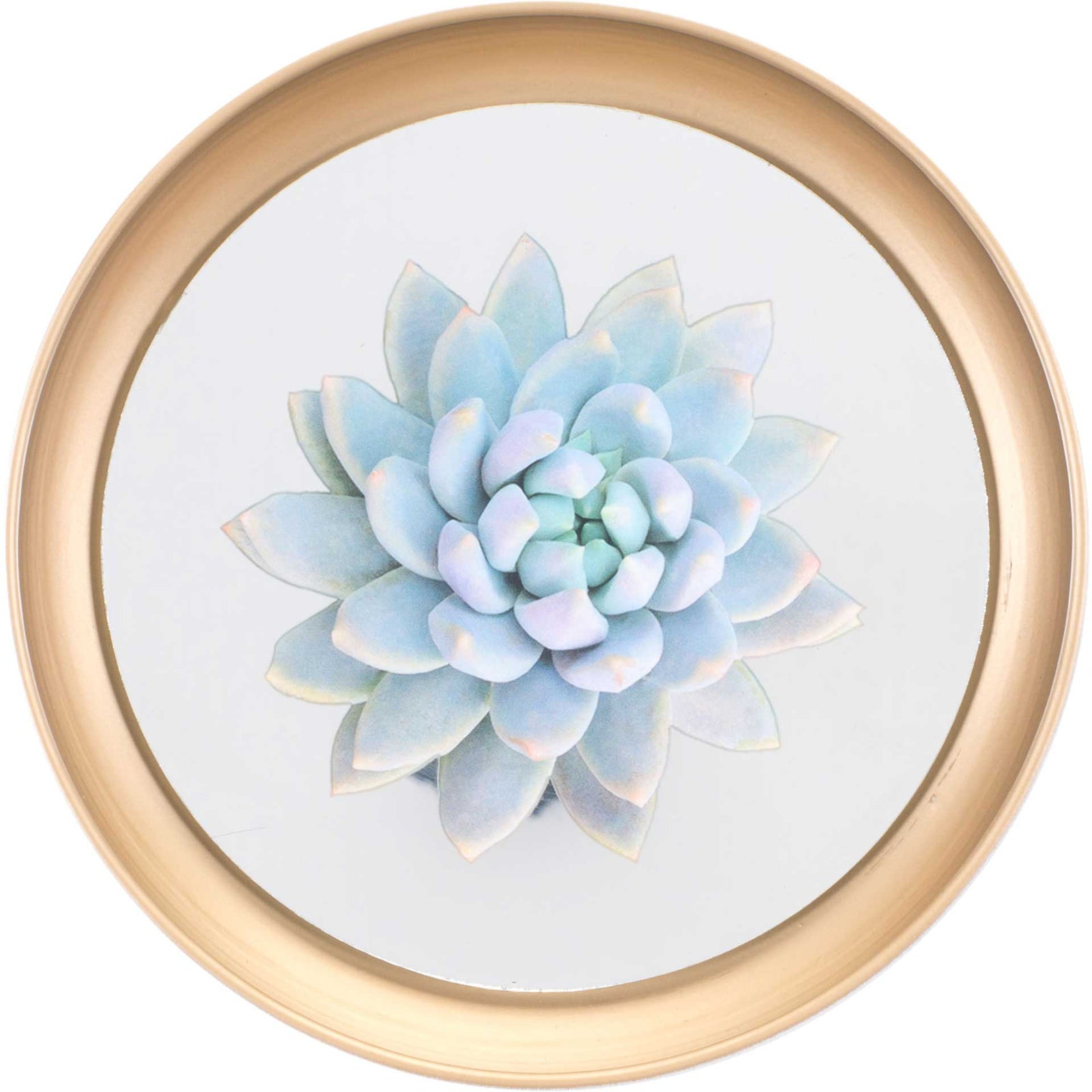 Pastel Succulents Plate (Set of 4)