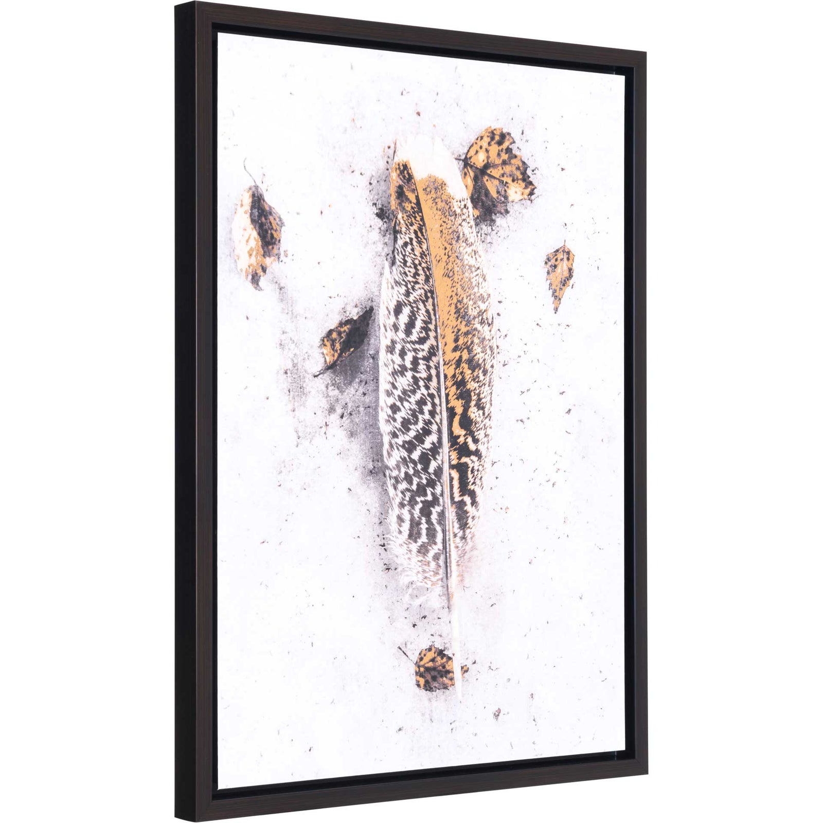 Feather Canvas White/Gold