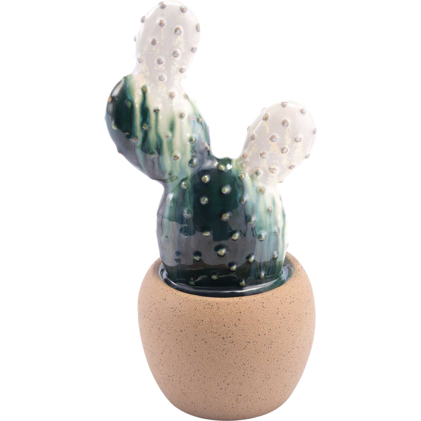 Agave Plant White/Green