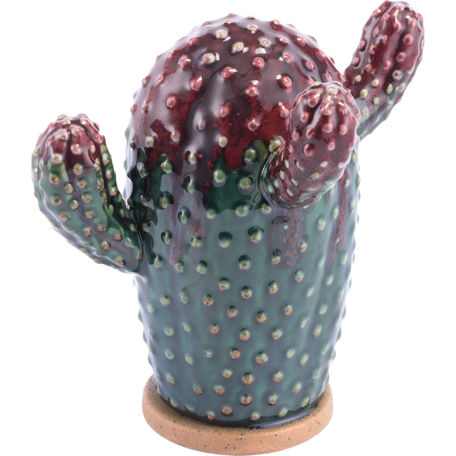 Agave Plant Purple/Green