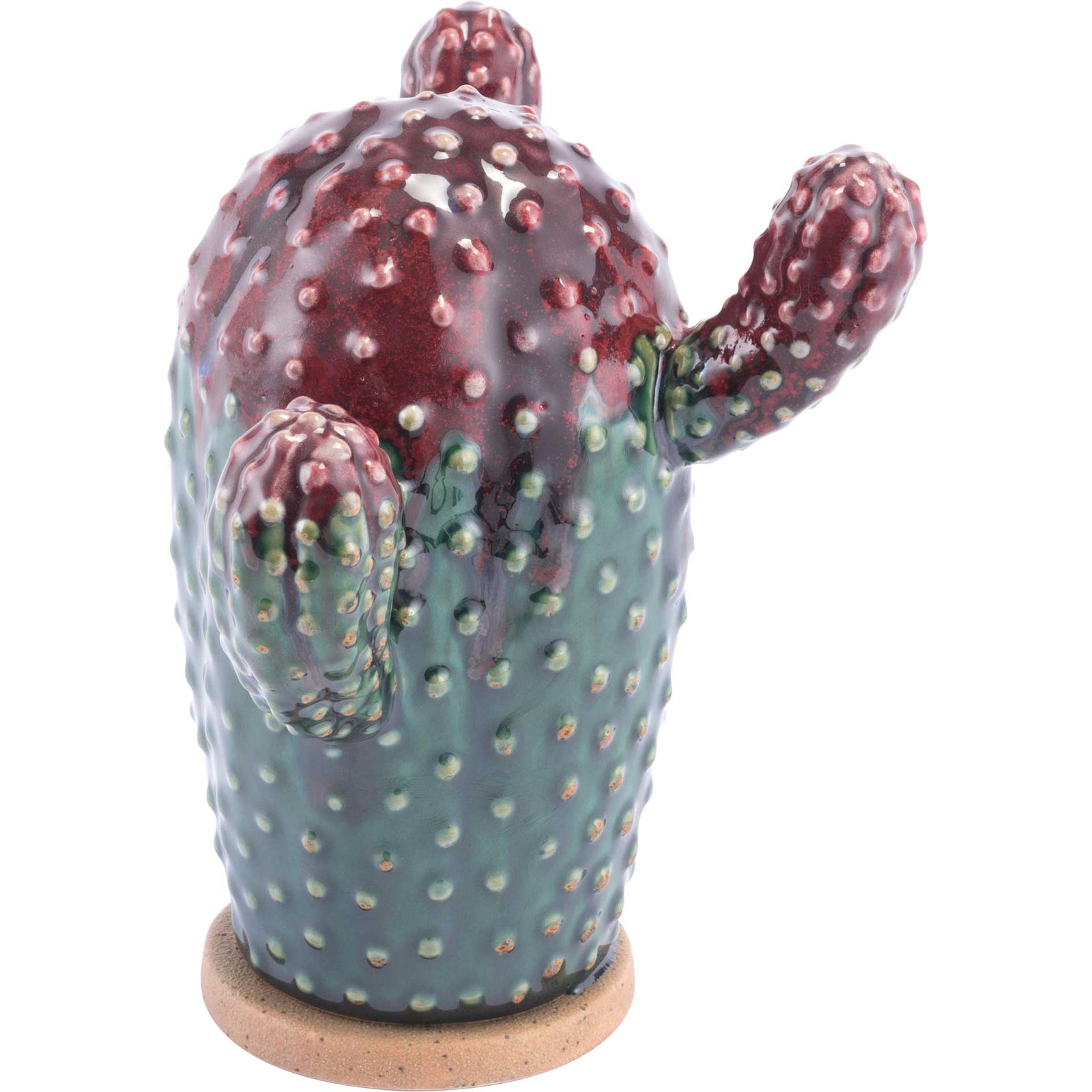 Agave Plant Purple/Green