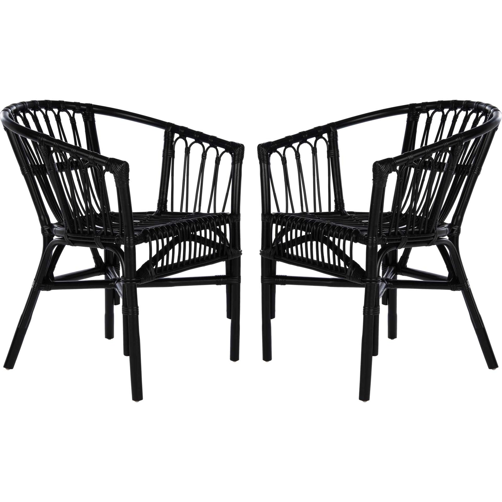Adhara Rattan Accent Chair Black (Set of 2)