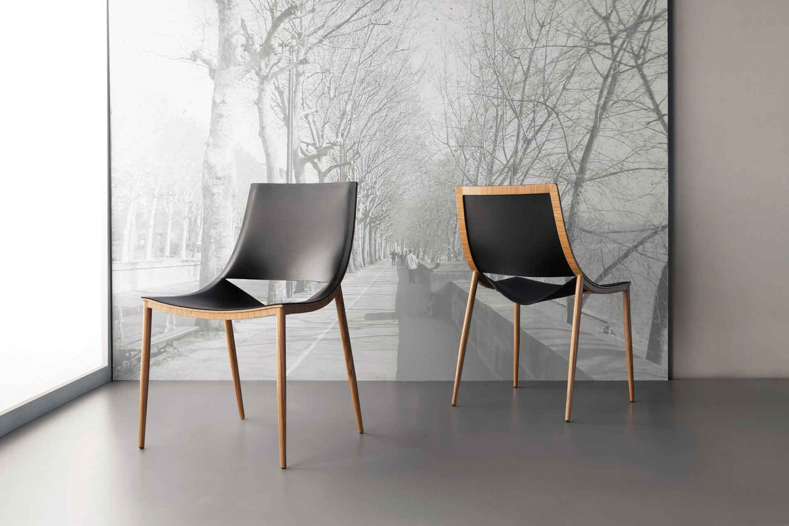 Sloane Dining Chair Black/Teak