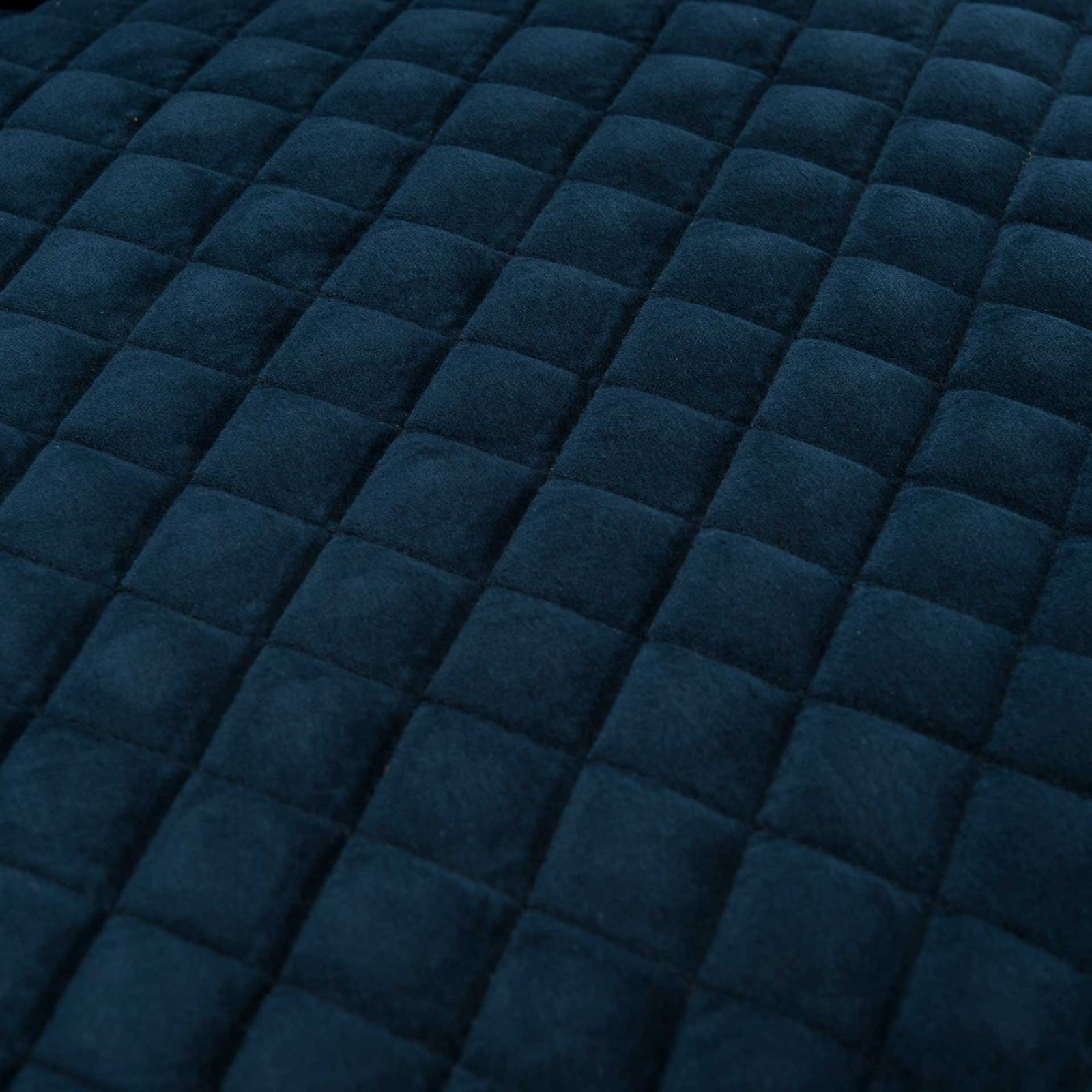 Maggie Acrylic Arm Chair Navy Blue