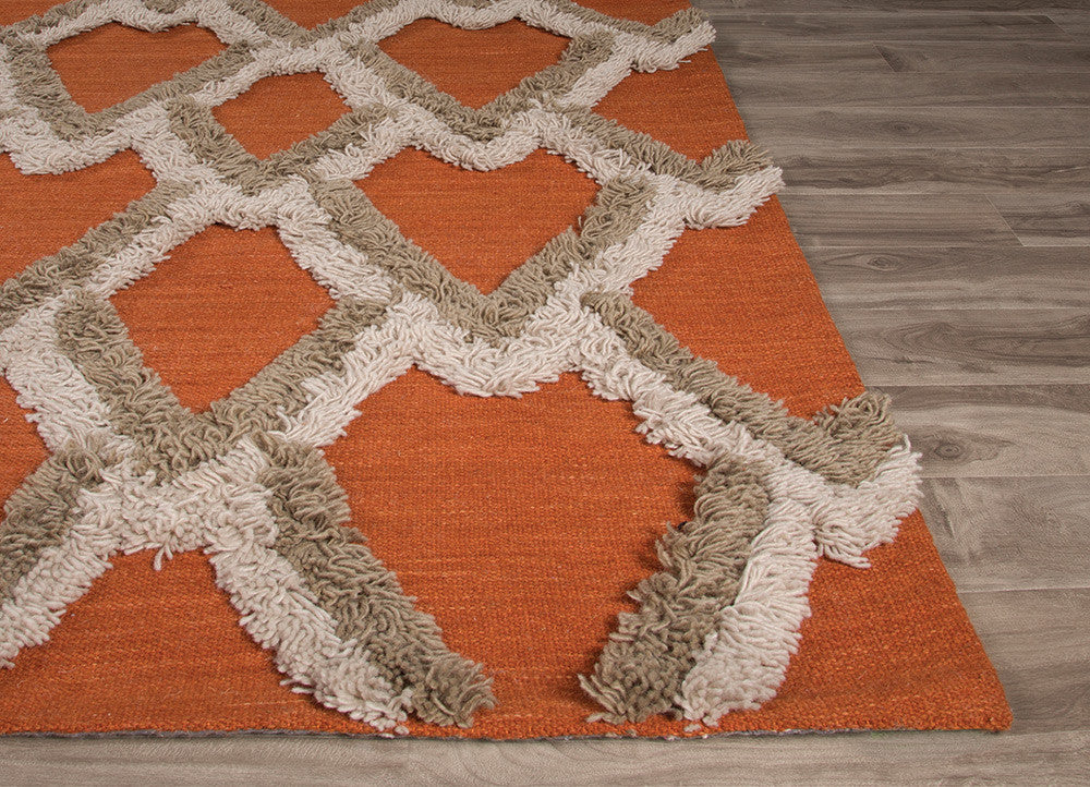 National Geographic Loras Apricot Orange/Pumice Stone Area Rug