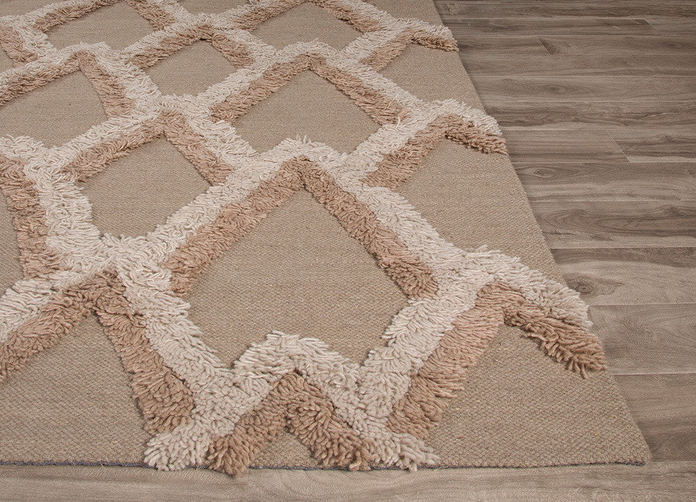 National Geographic Loras Aluminum/Moon Rock Area Rug