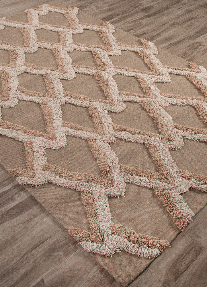 National Geographic Loras Aluminum/Moon Rock Area Rug