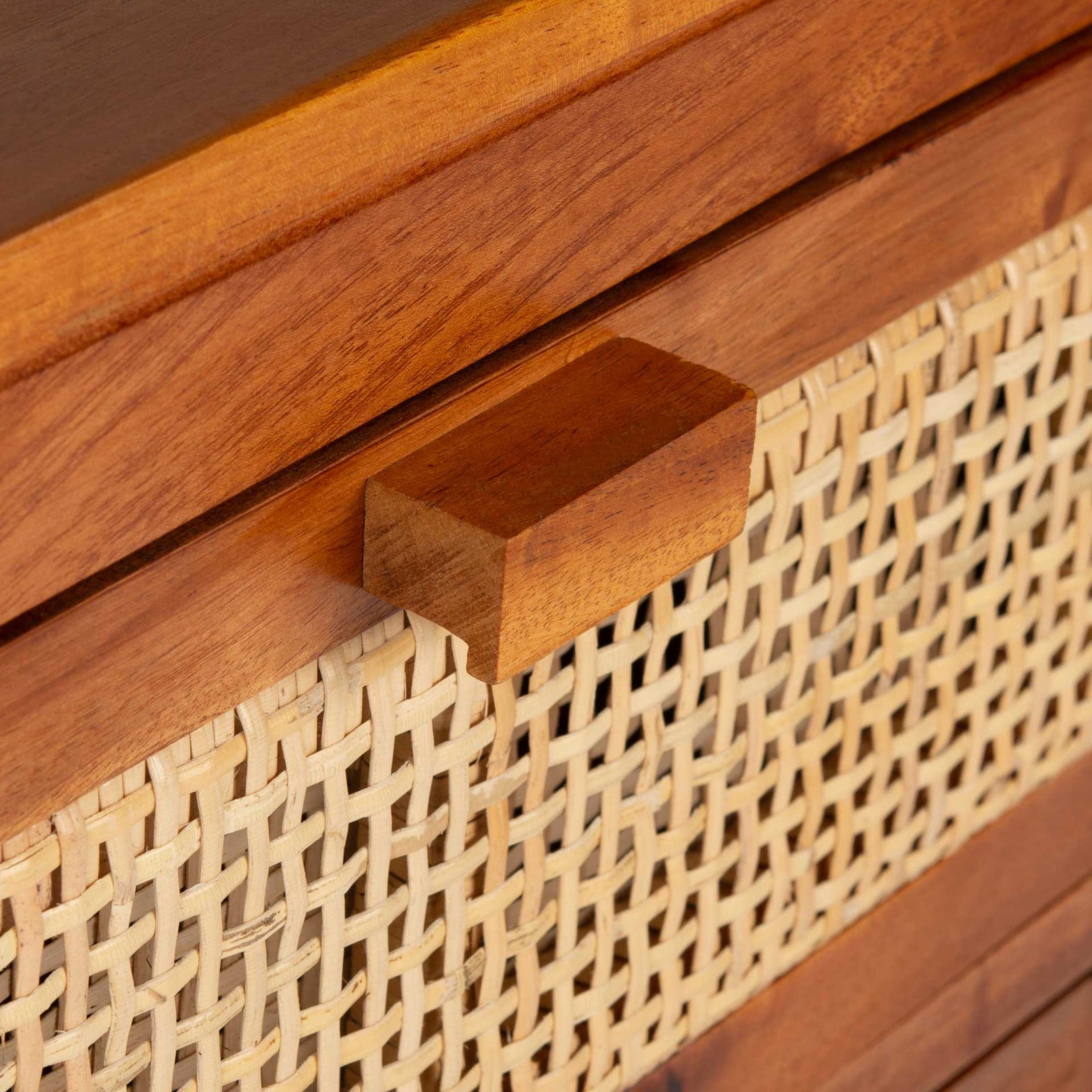 Delia 1 Drawer 1 Door Nightstand Natural