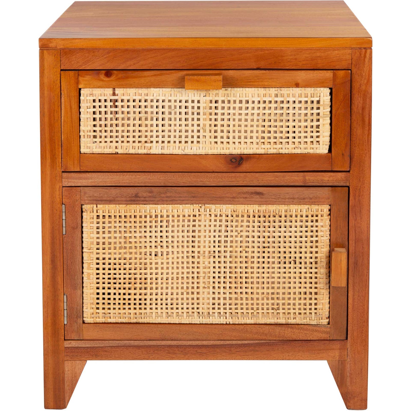 Delia 1 Drawer 1 Door Nightstand Natural